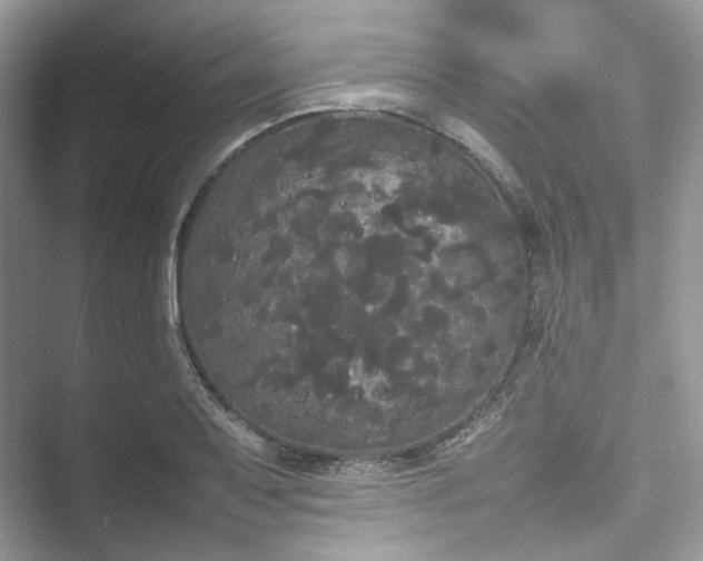 X0000053471079200507210954.png