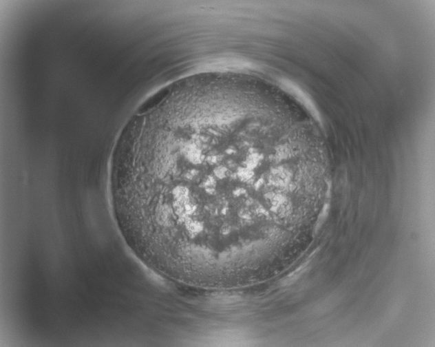 X0000053471103200507210954.png