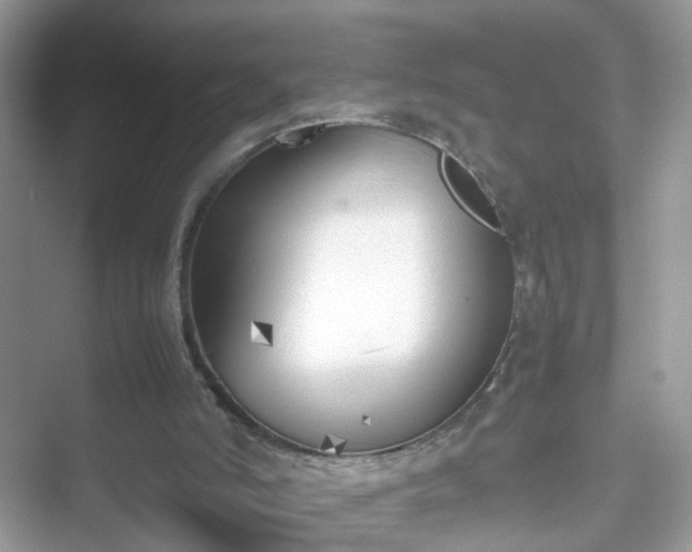 X0000053470006200507211012.png