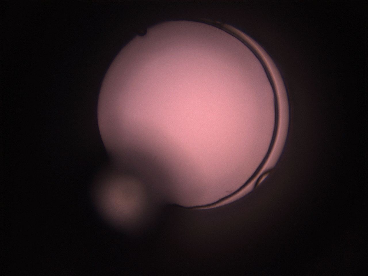 05i1_L7_ImagerDefaults_1.jpg