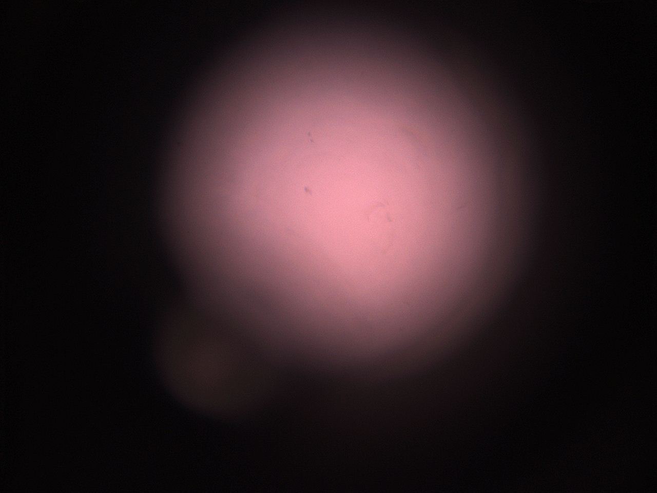 05i1_M1_ImagerDefaults_1.jpg