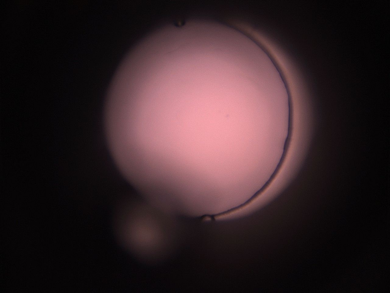 05i1_M6_ImagerDefaults_1.jpg