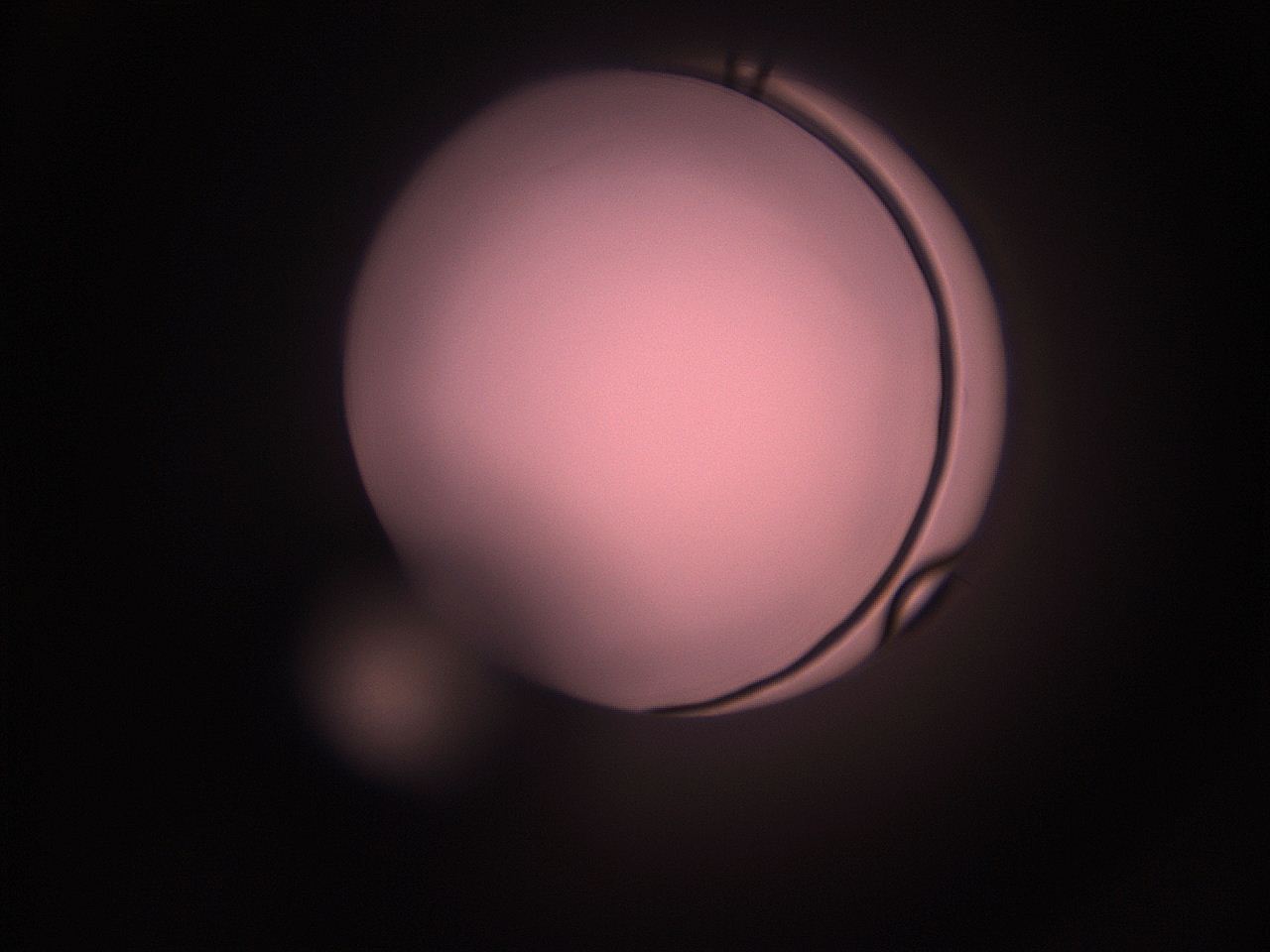 05i1_M8_ImagerDefaults_1.jpg
