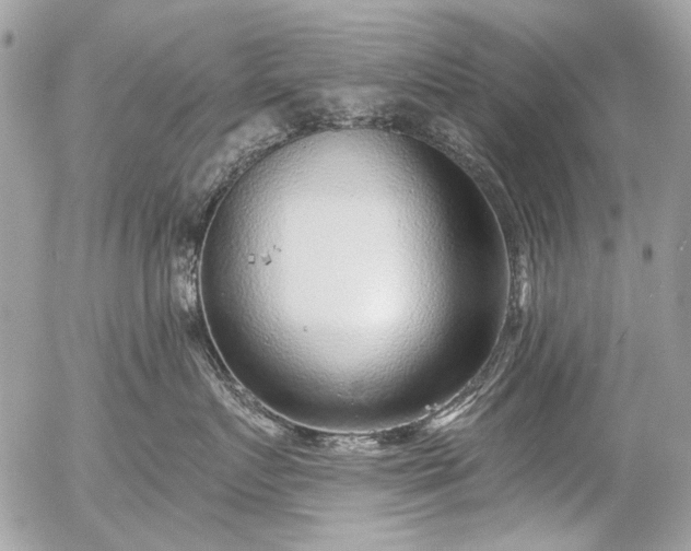 X0000053680719200507251210.png