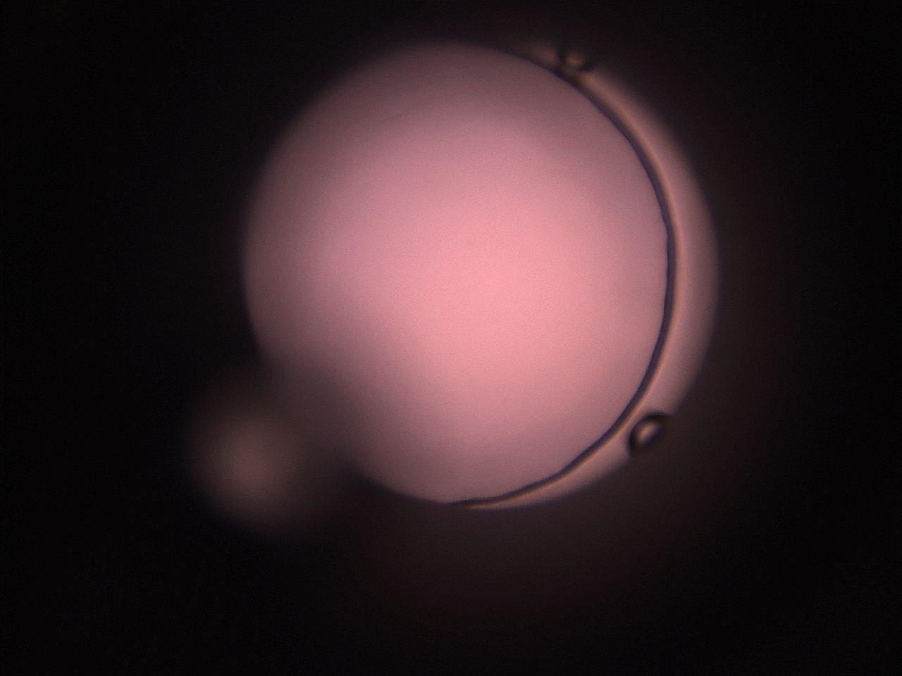 05i1_N8_ImagerDefaults_1.jpg