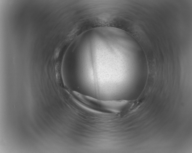 X0000056230131200509011922.png