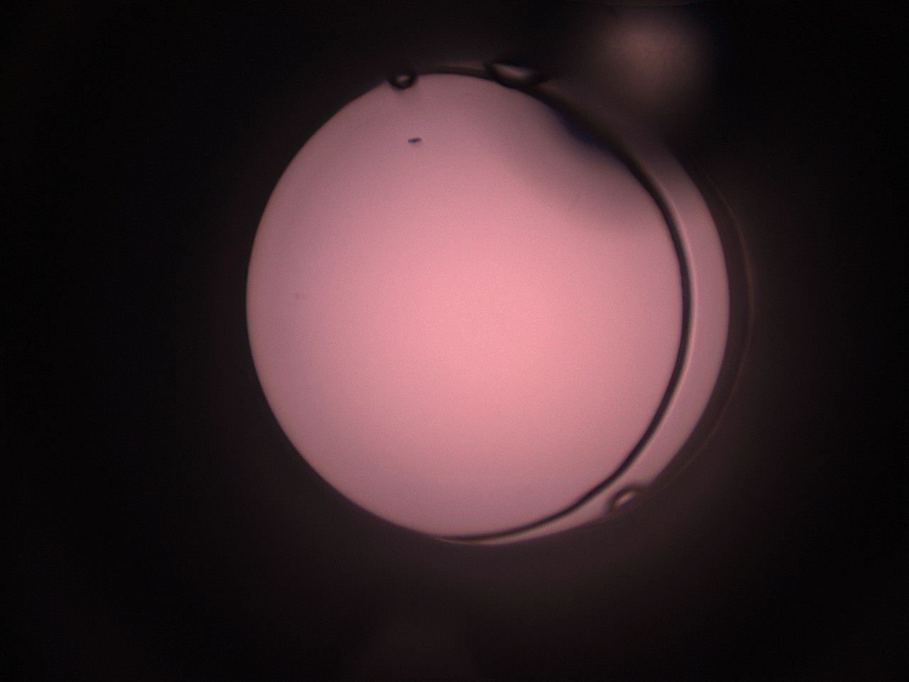 05i1_N16_ImagerDefaults_1.jpg