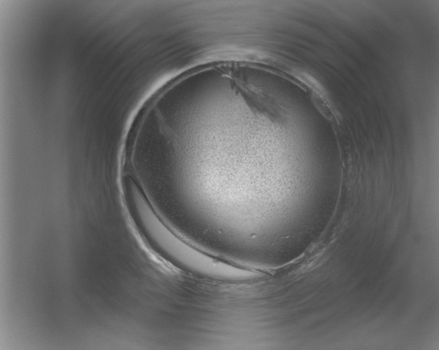X0000056231128200509011905.png