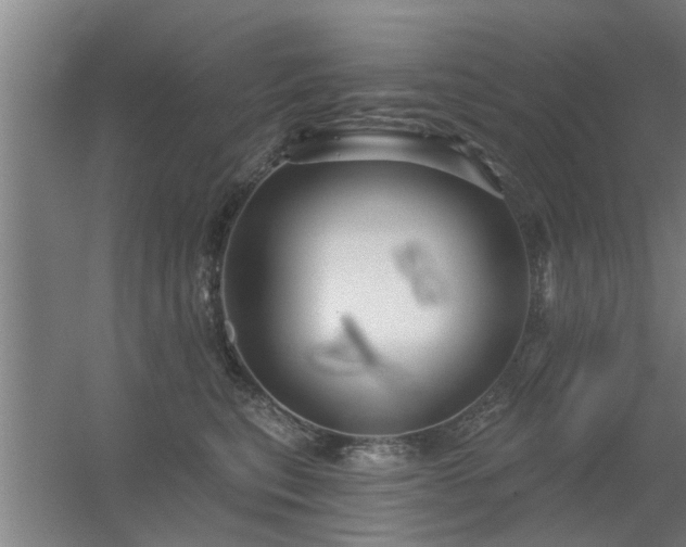 X0000056240567200509011941.png