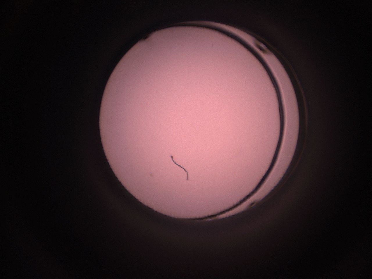 05i1_O16_ImagerDefaults_1.jpg