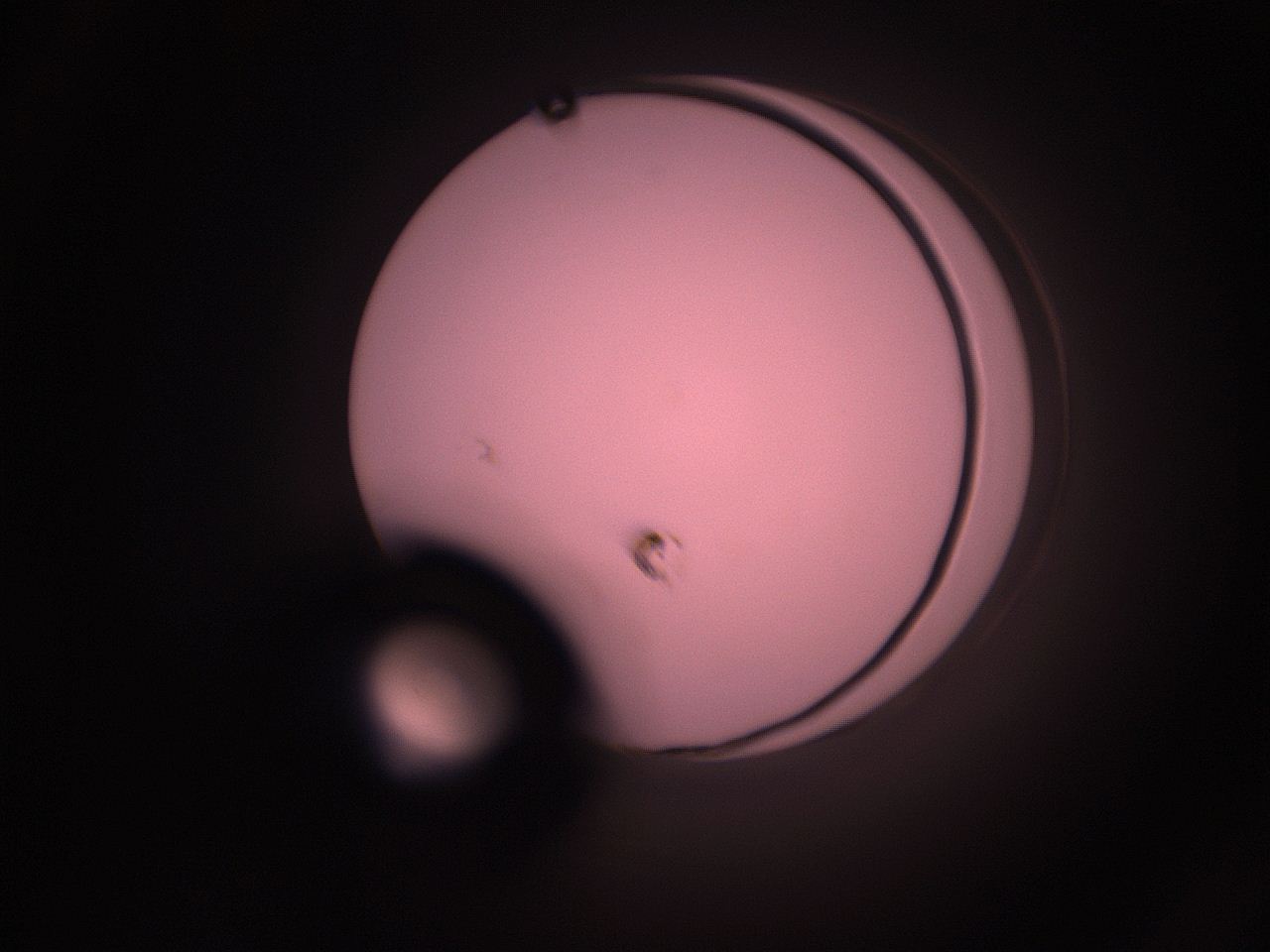 05i1_P19_ImagerDefaults_1.jpg
