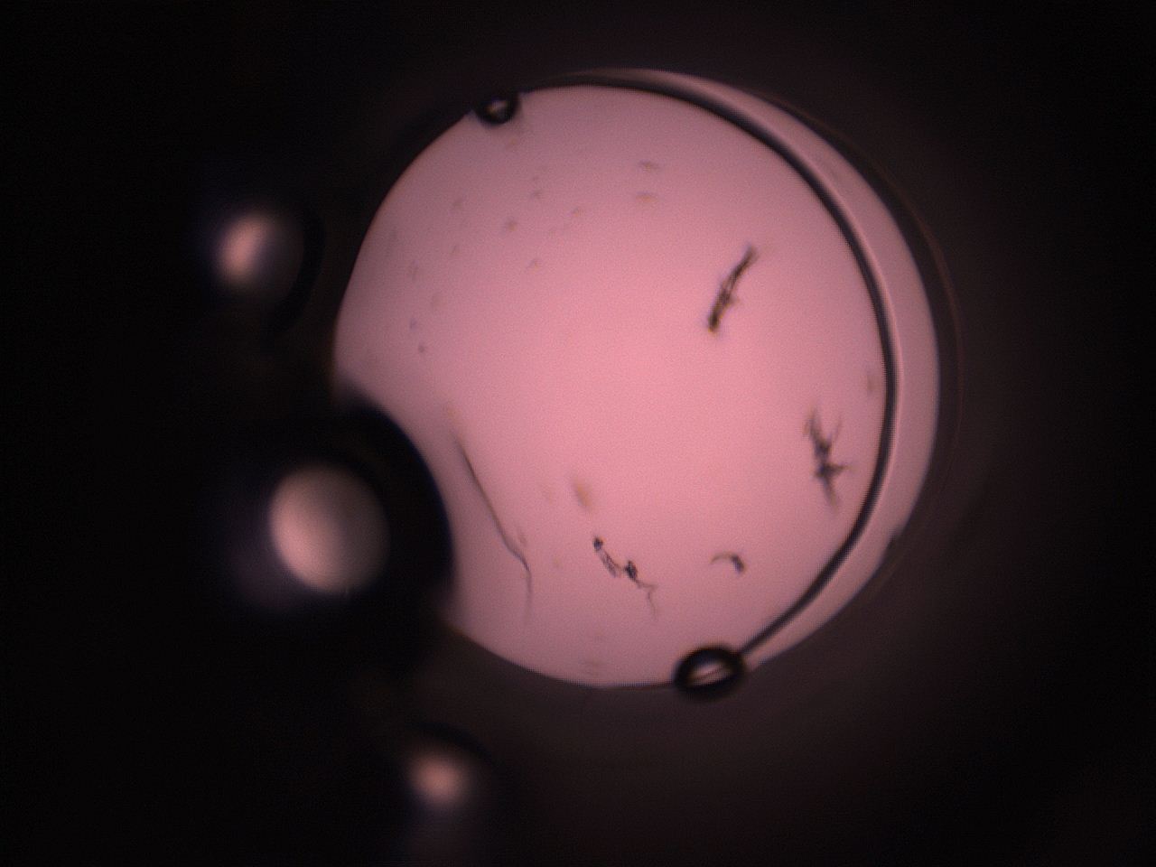 05i1_P20_ImagerDefaults_1.jpg