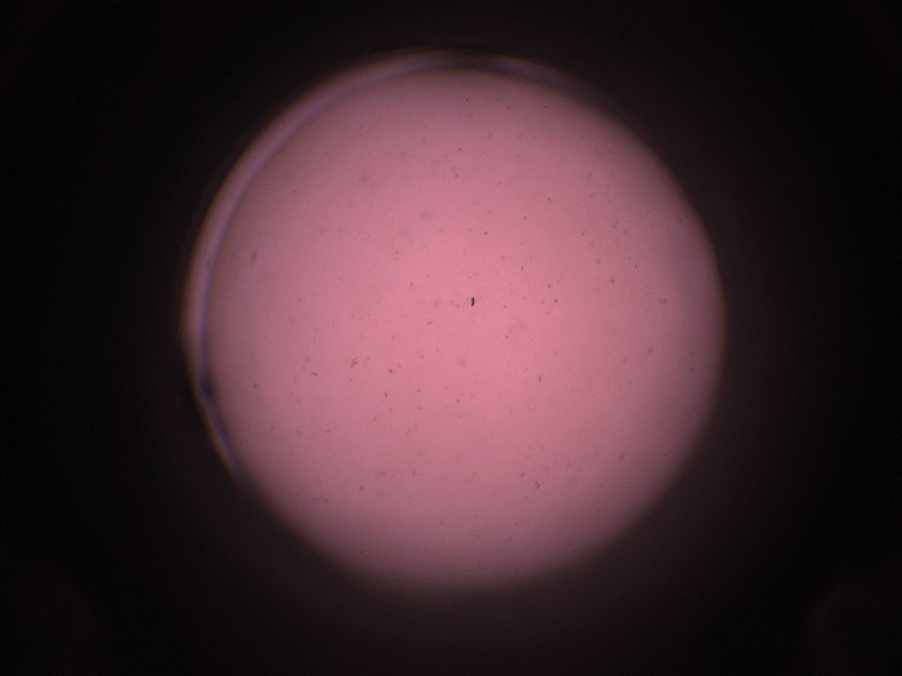 05i2_A24_ImagerDefaults_9.jpg