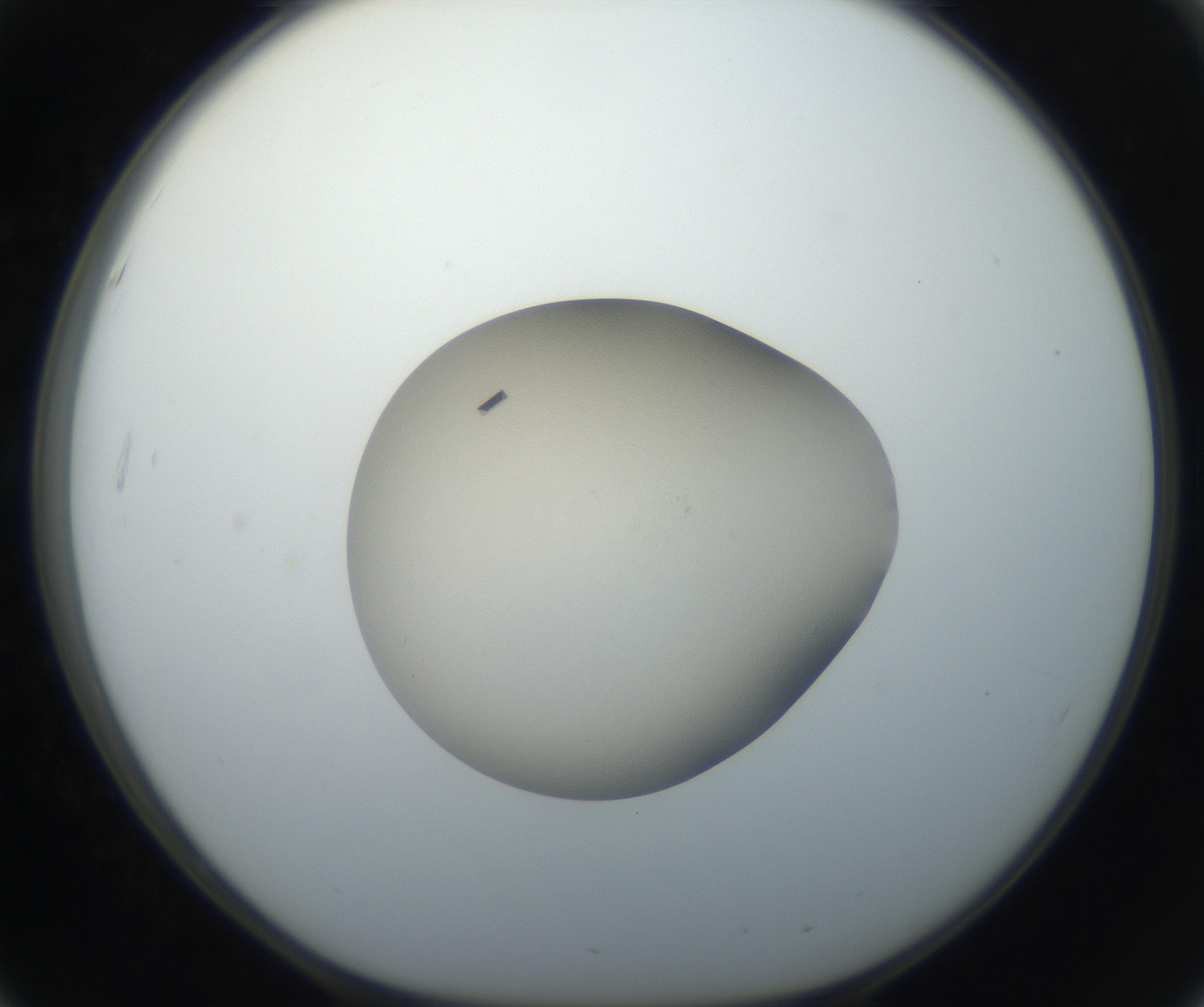 RI01_03_000_0212_Proj1_Clon1_MC_0000MC011153_008_160815_03_05_01_00_99_002_001_RAI.jpg