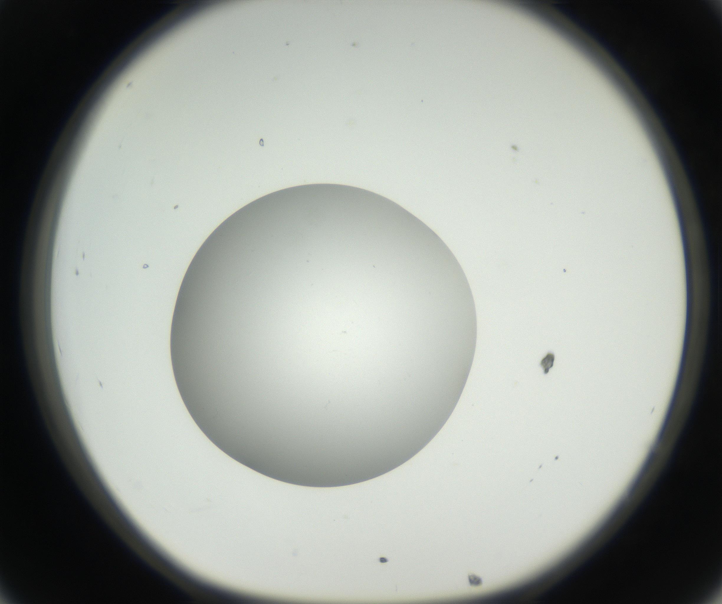 RI01_03_000_0212_Proj1_Clon1_MC_0000MC011158_004_160807_08_03_01_00_99_002_001_RAI.jpg