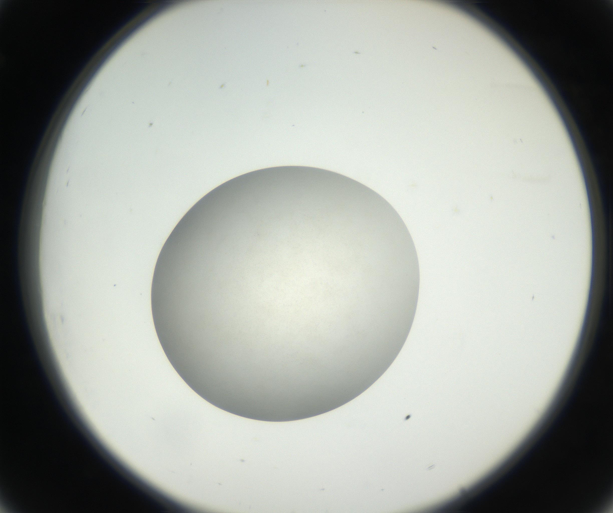 RI01_03_000_0212_Proj1_Clon1_MC_0000MC011158_004_160807_08_03_02_00_99_002_001_RAI.jpg