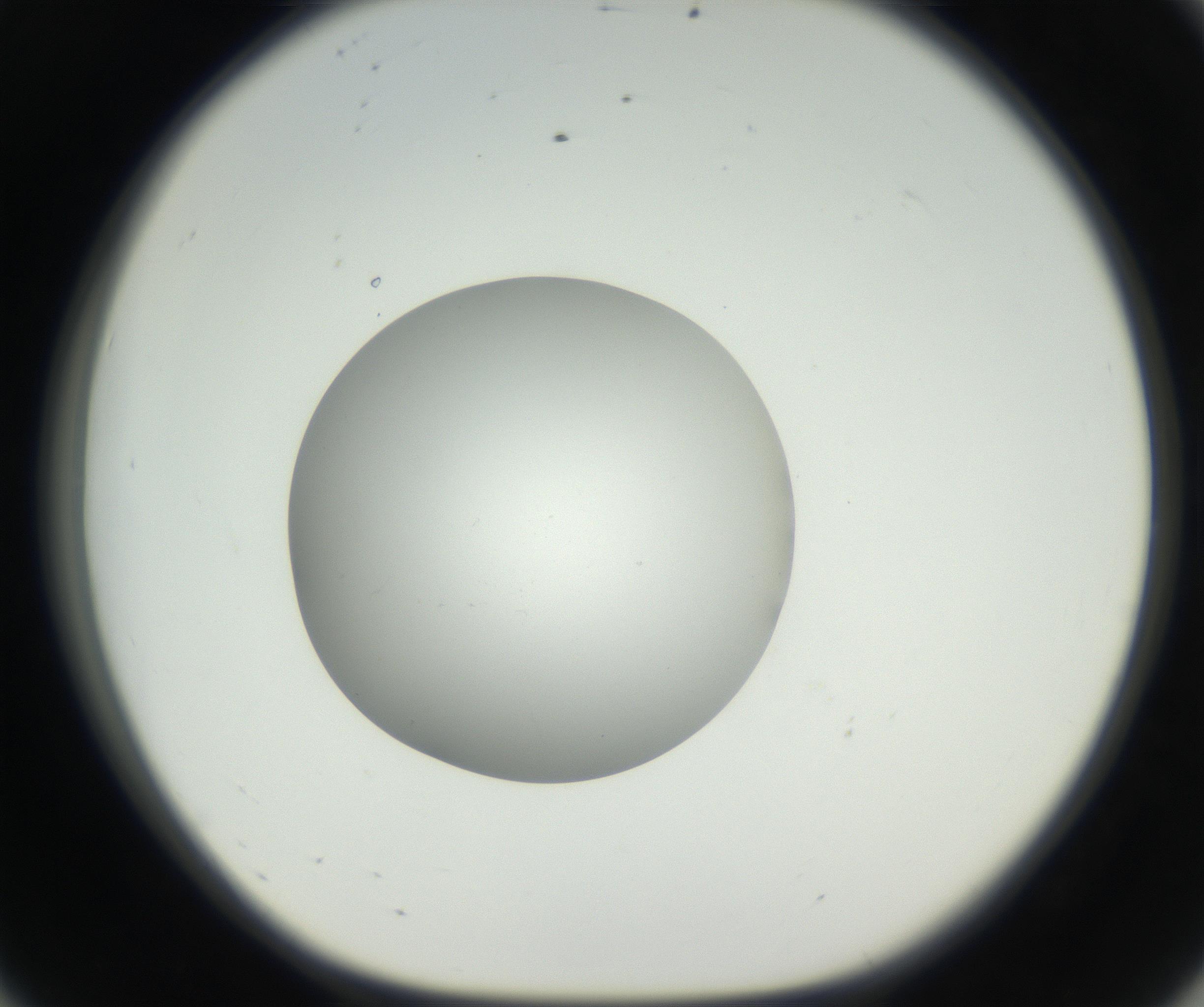 RI01_03_000_0212_Proj1_Clon1_MC_0000MC011158_004_160807_08_05_01_00_99_002_001_RAI.jpg