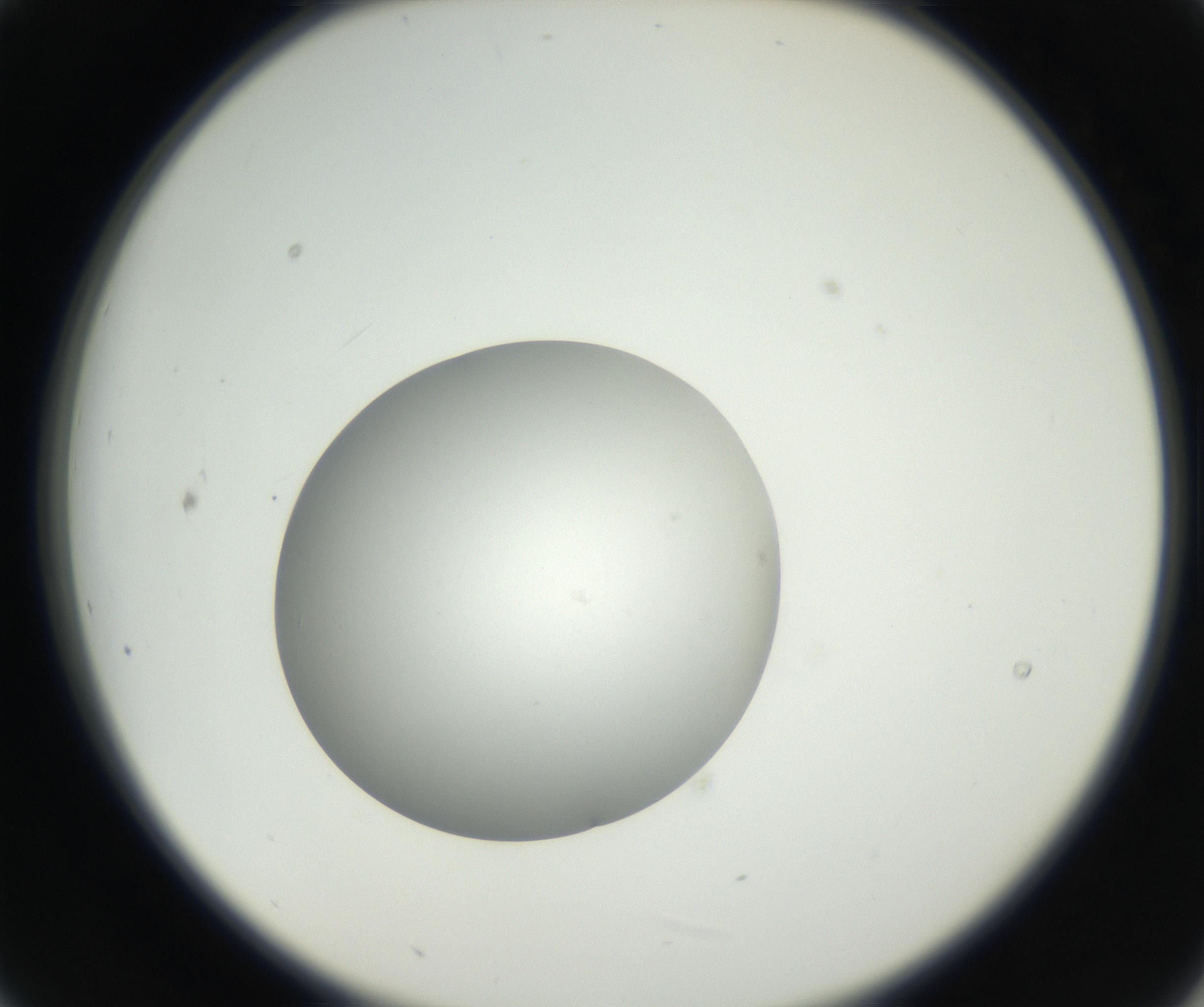 RI01_03_000_0212_Proj1_Clon1_MC_0000MC011158_004_160807_09_02_02_00_99_002_001_RAI.jpg