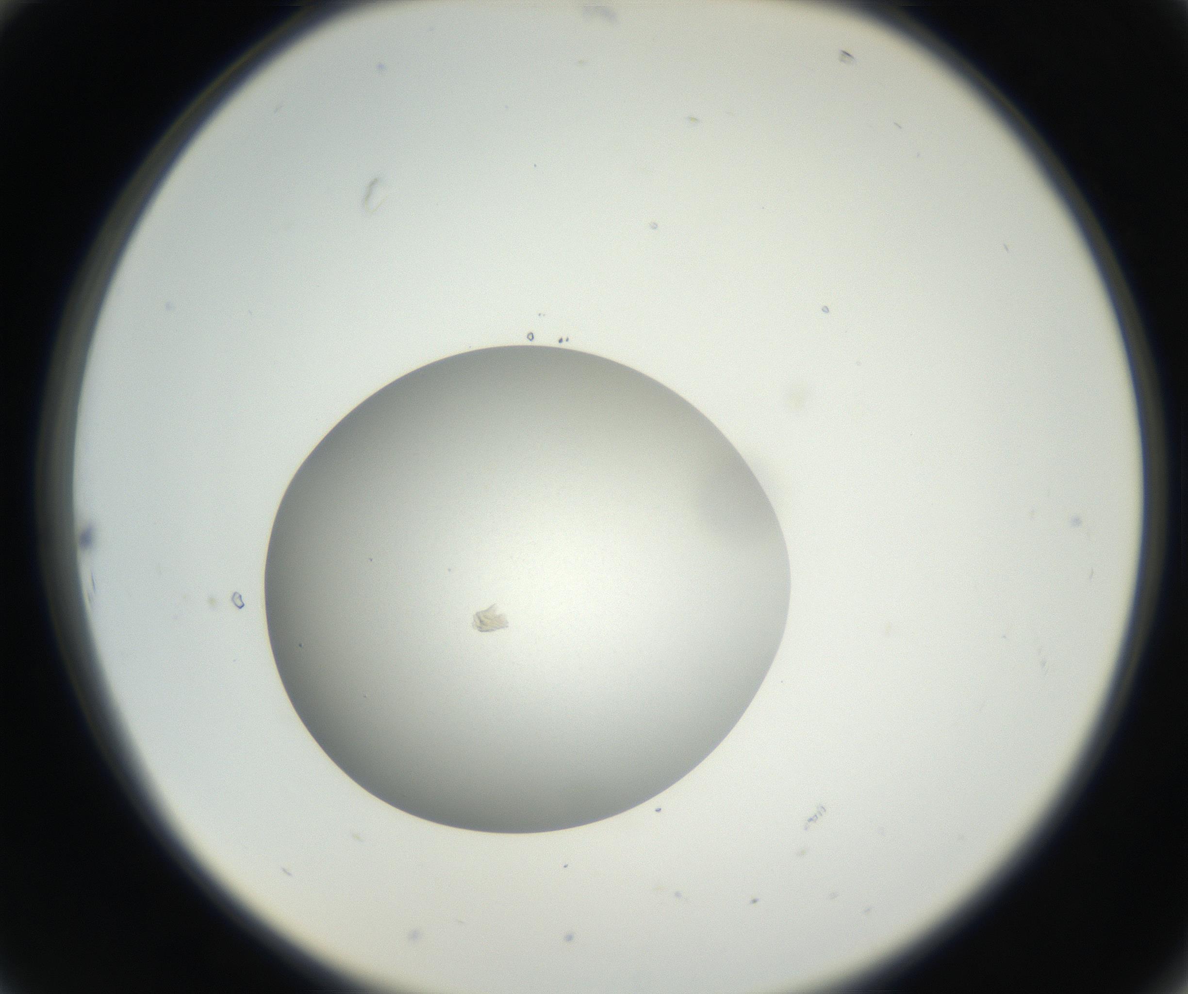 RI01_03_000_0212_Proj1_Clon1_MC_0000MC011158_004_160807_10_02_02_00_99_002_001_RAI.jpg