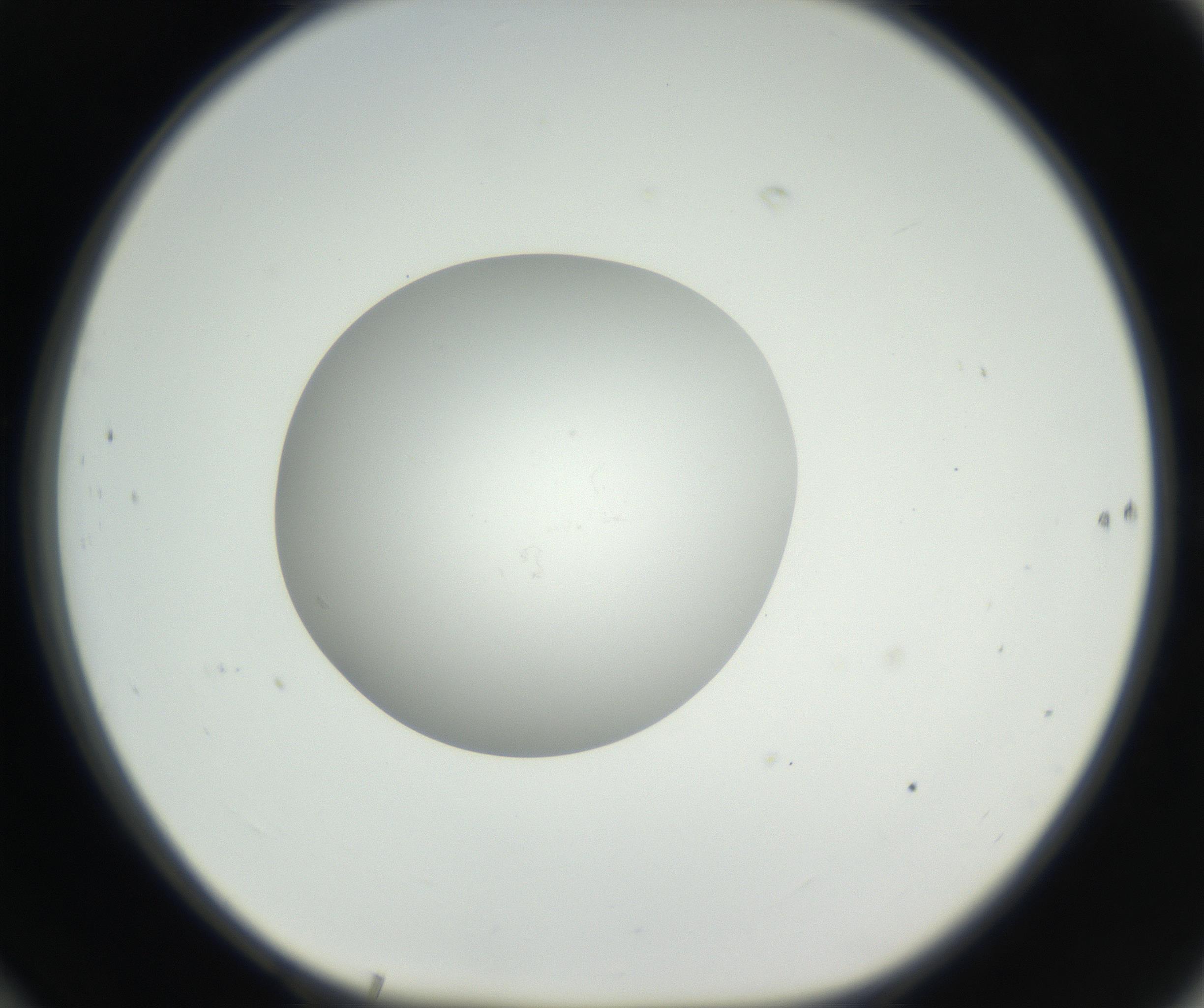 RI01_03_000_0212_Proj1_Clon1_MC_0000MC011158_004_160807_10_06_01_00_99_002_001_RAI.jpg