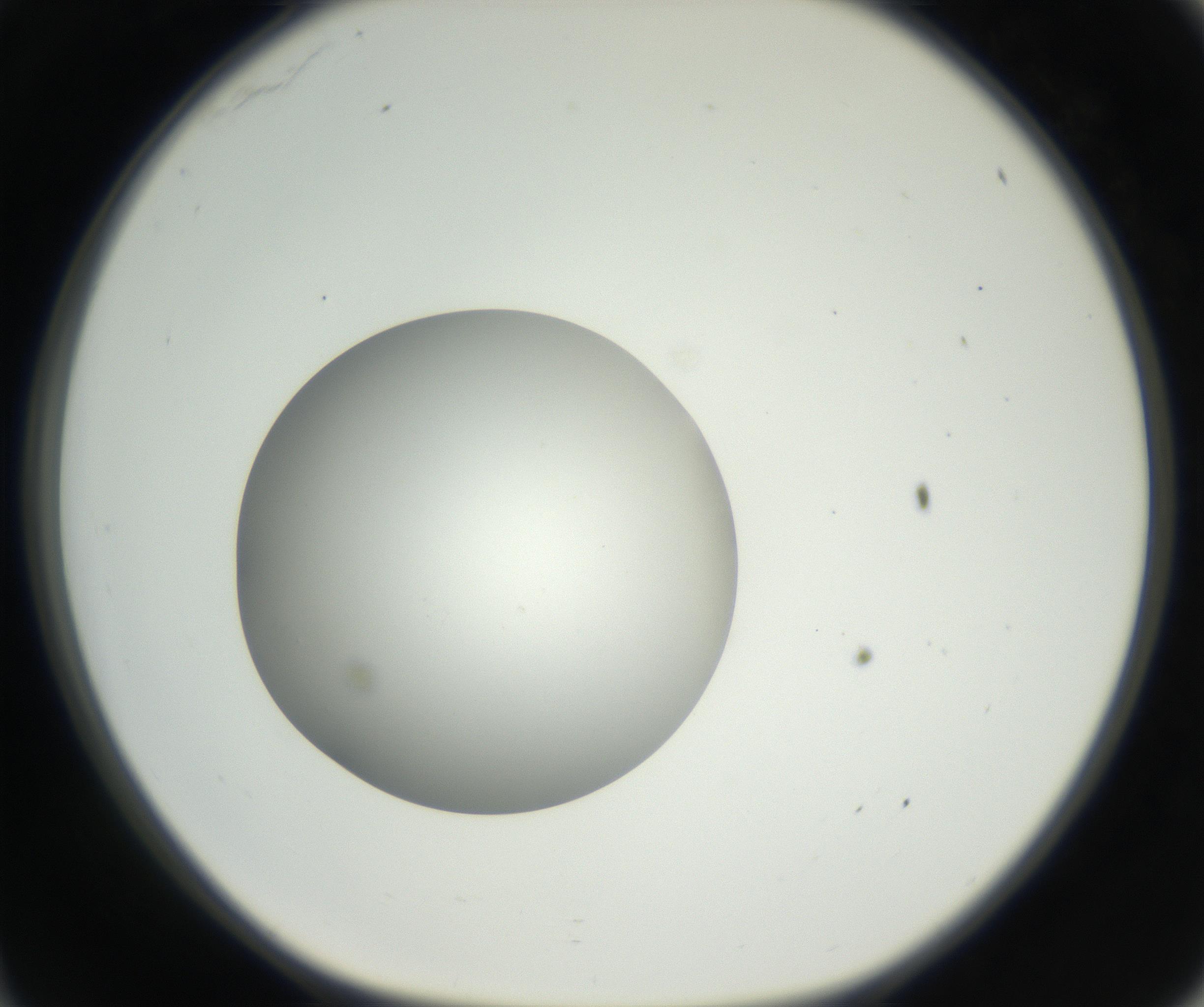RI01_03_000_0212_Proj1_Clon1_MC_0000MC011158_004_160807_11_03_01_00_99_002_001_RAI.jpg