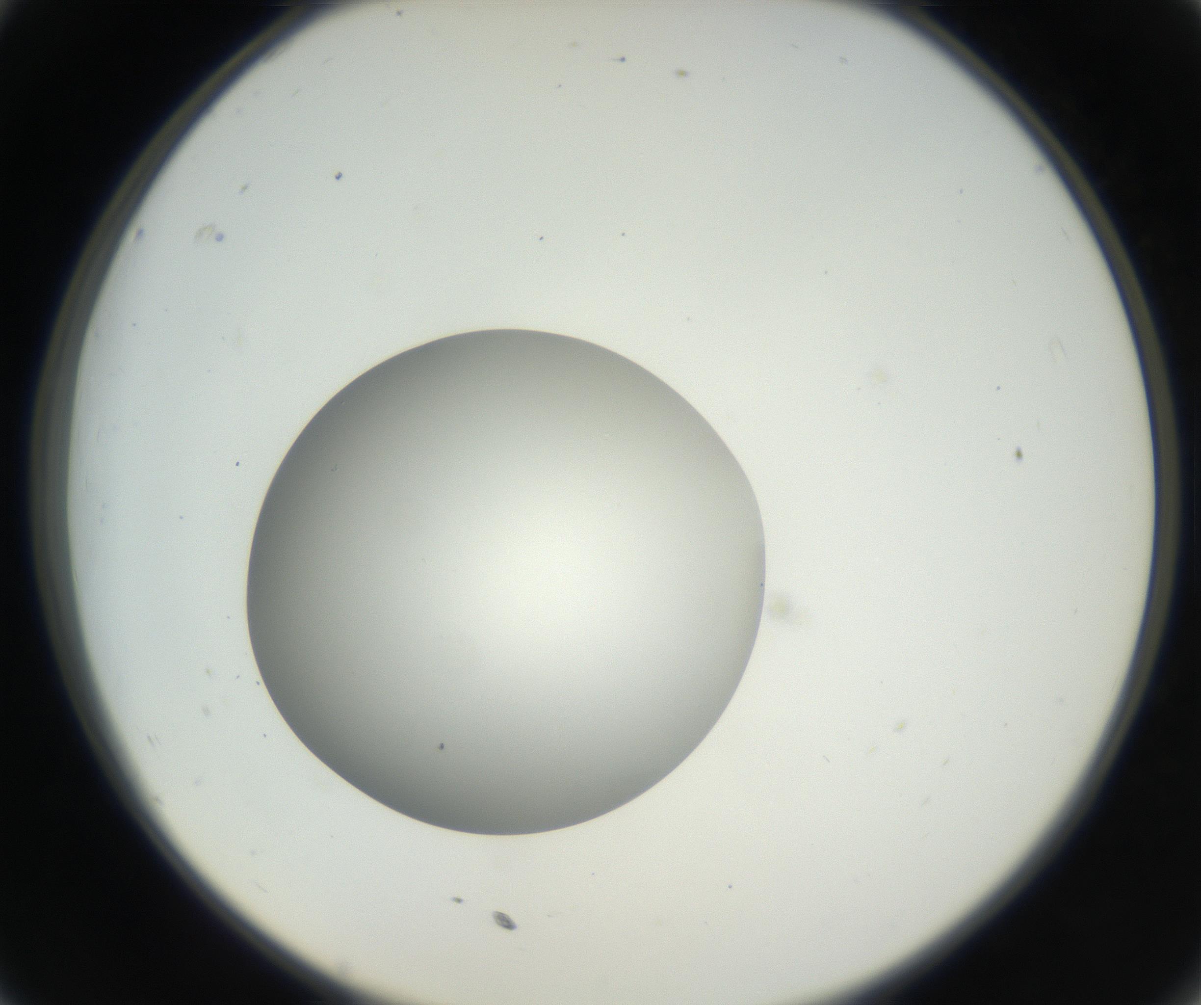 RI01_03_000_0212_Proj1_Clon1_MC_0000MC011158_004_160807_11_03_02_00_99_002_001_RAI.jpg