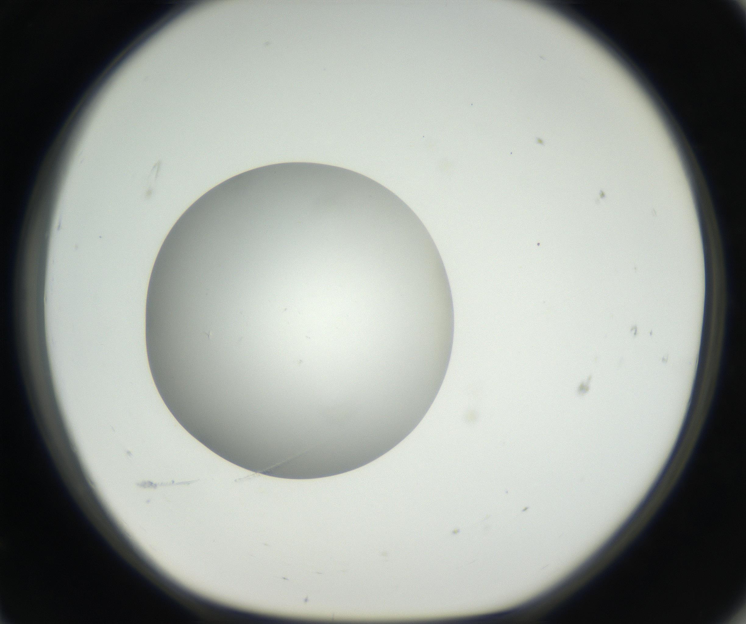 RI01_03_000_0212_Proj1_Clon1_MC_0000MC011158_004_160807_11_06_01_00_99_002_001_RAI.jpg