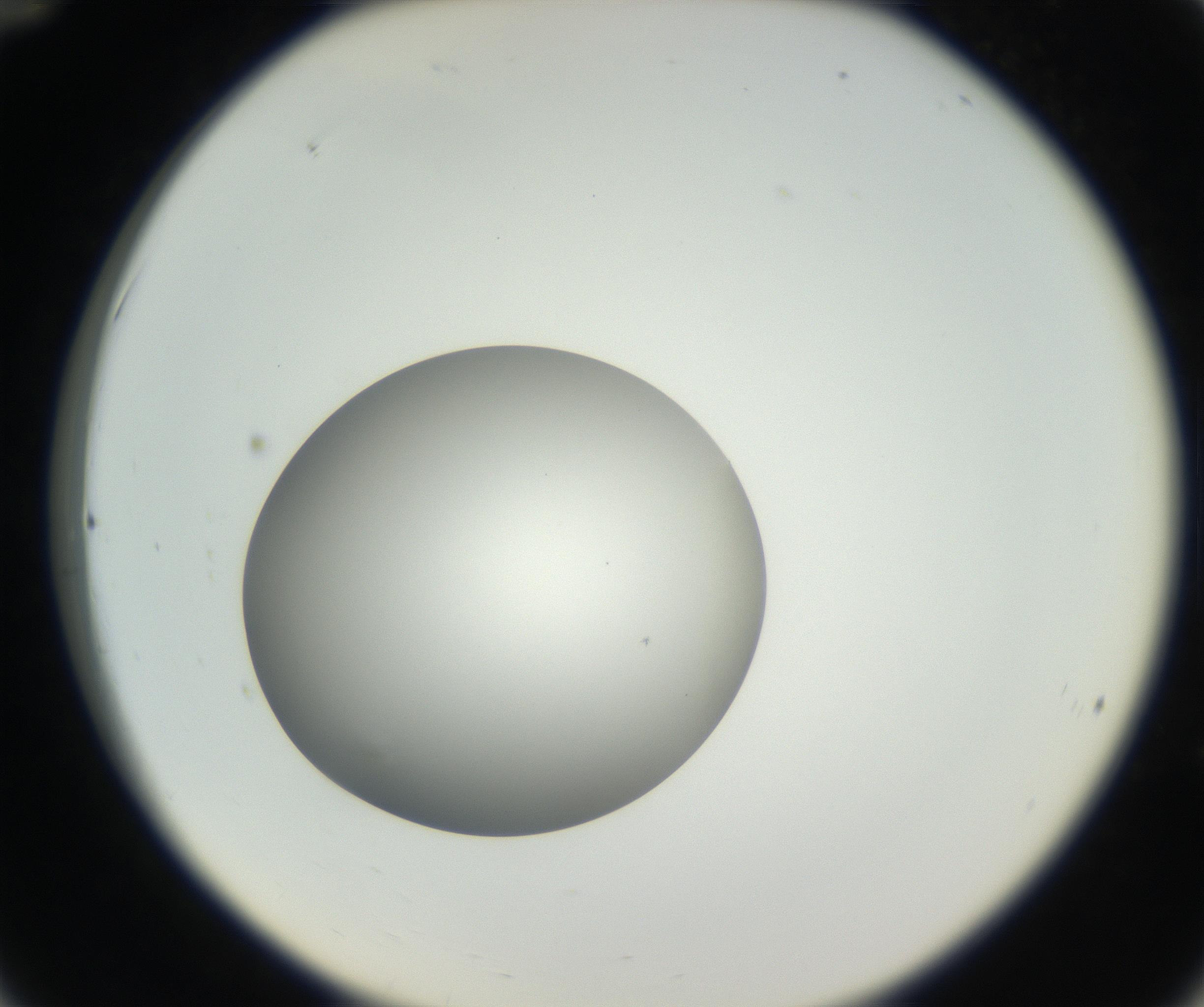 RI01_03_000_0212_Proj1_Clon1_MC_0000MC011158_004_160807_12_03_02_00_99_002_001_RAI.jpg