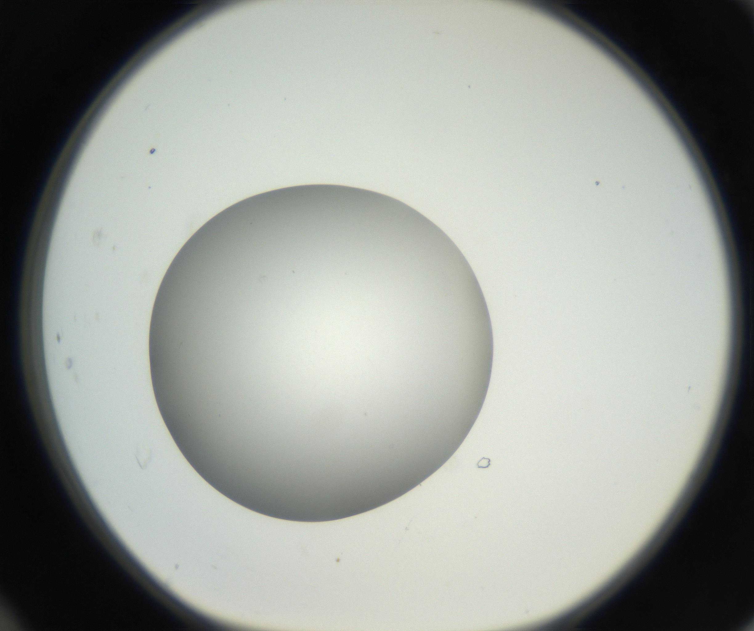 RI01_03_000_0212_Proj1_Clon1_MC_0000MC011158_004_160807_12_04_01_00_99_002_001_RAI.jpg