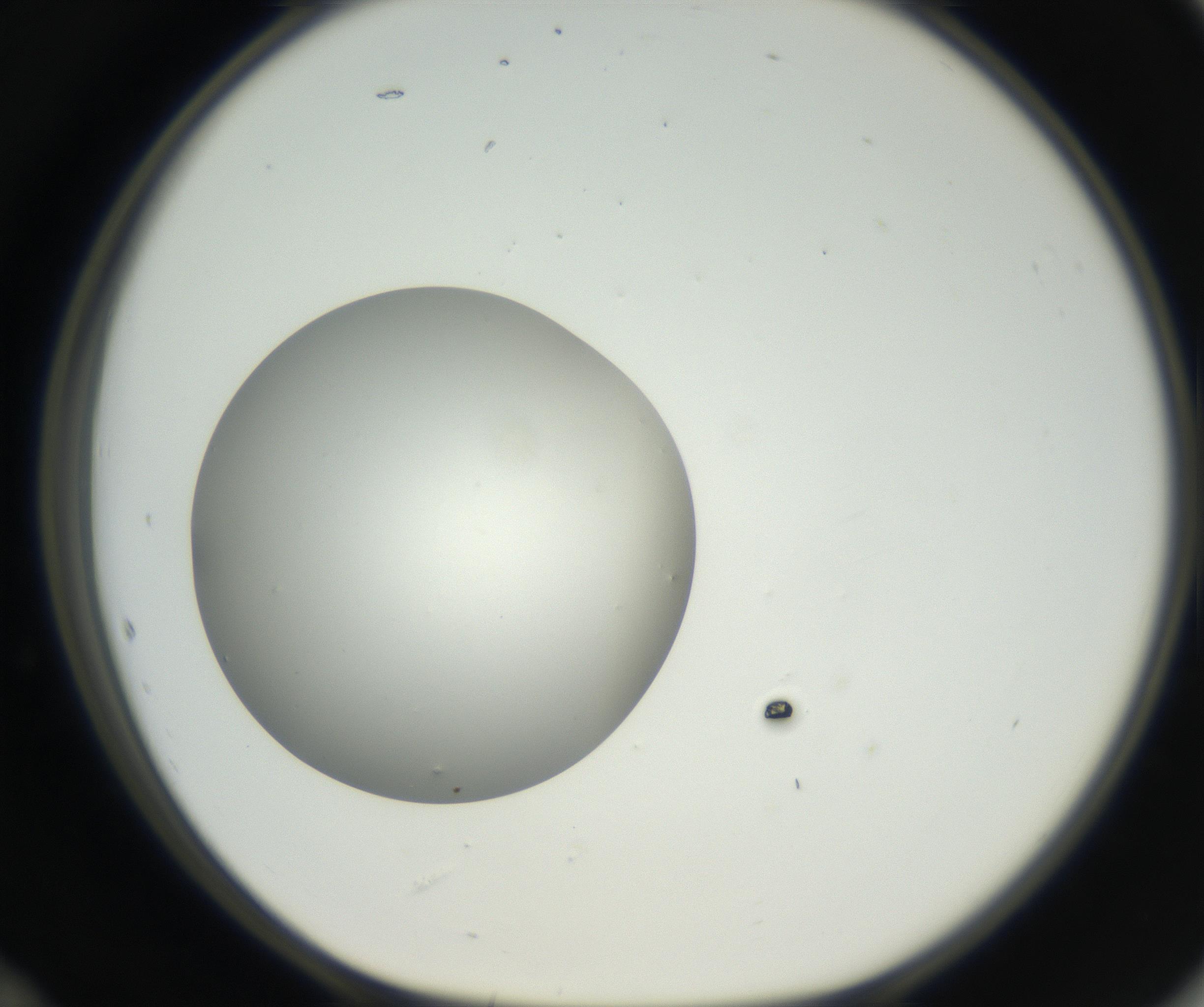 RI01_03_000_0212_Proj1_Clon1_MC_0000MC011158_004_160807_12_05_01_00_99_002_001_RAI.jpg