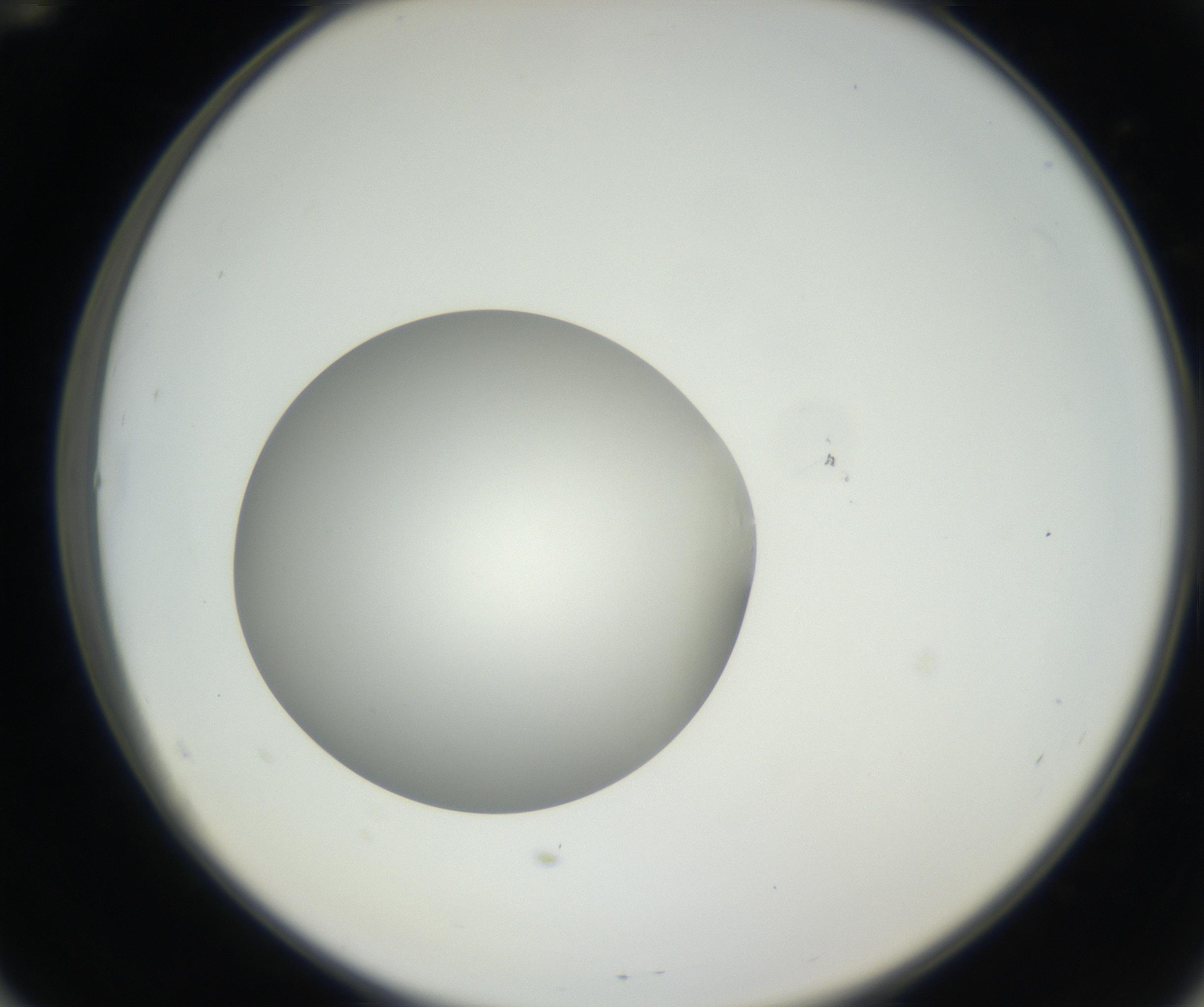 RI01_03_000_0212_Proj1_Clon1_MC_0000MC011158_004_160807_12_05_02_00_99_002_001_RAI.jpg