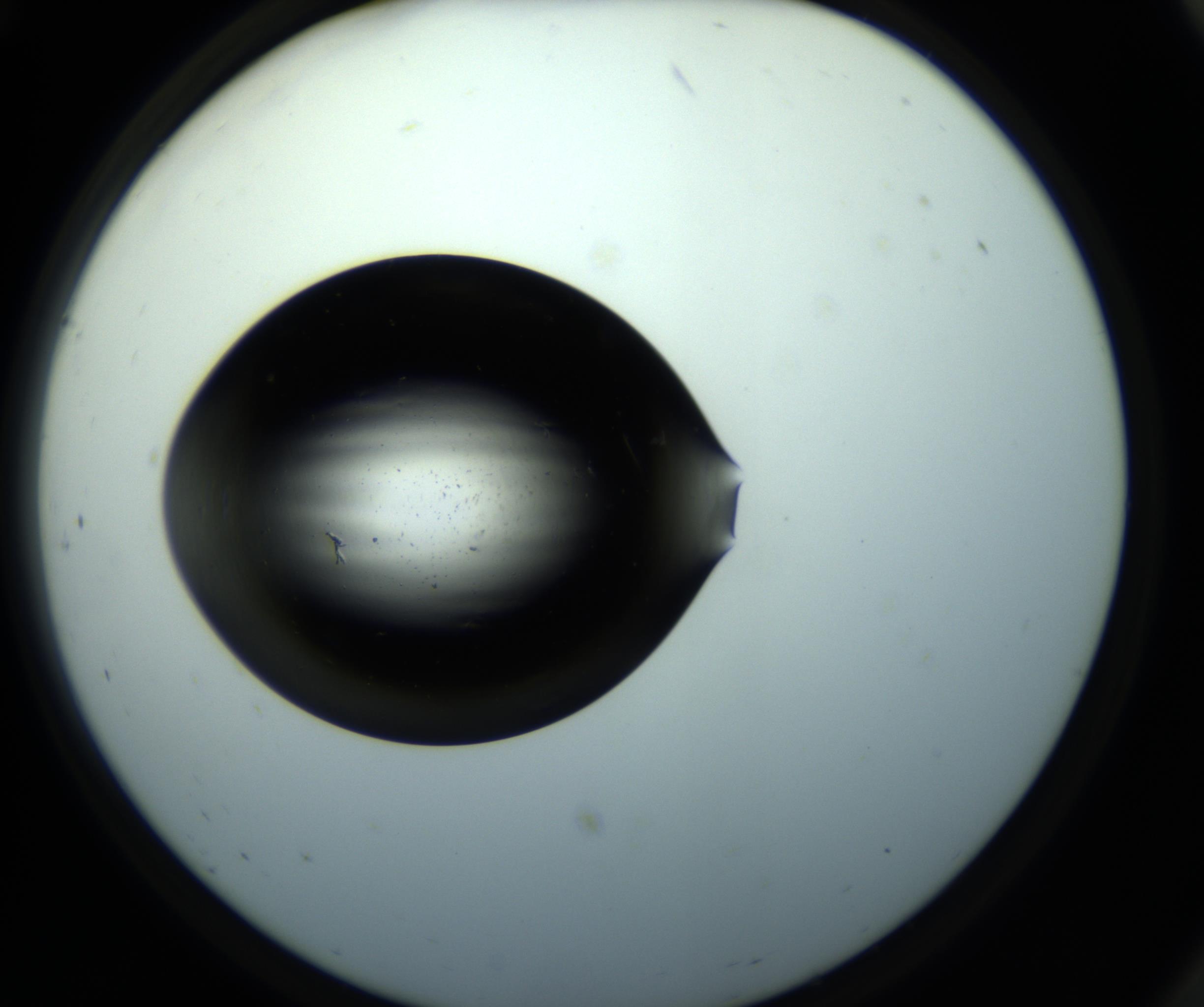 RI01_03_000_0212_Proj1_Clon1_MC_0000MC011169_015_161015_12_07_02_00_98_002_001_RAI.jpg
