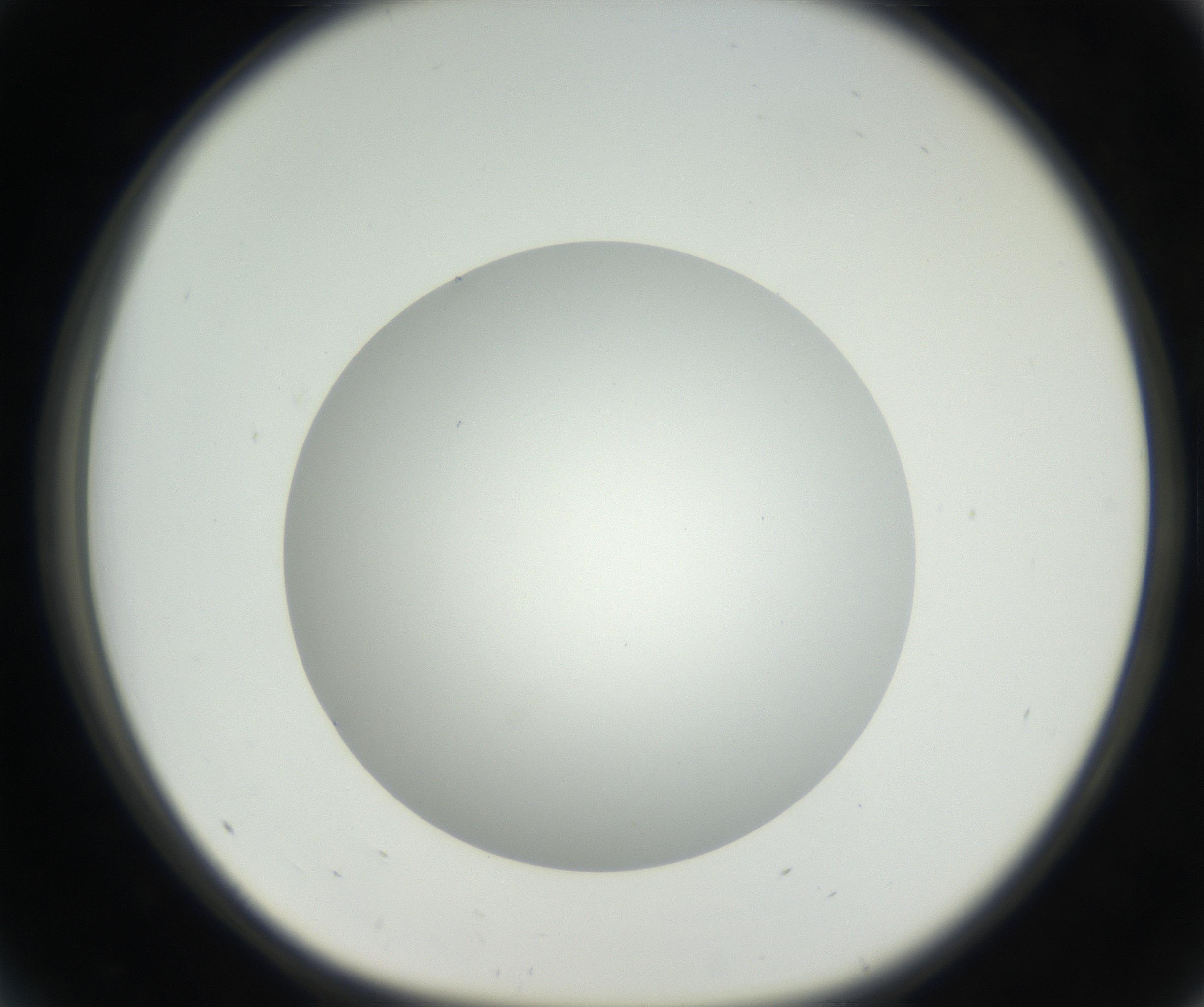 RI01_03_000_0212_Proj1_Clon1_MC_0000MC011174_003_160807_05_04_01_00_99_002_001_RAI.jpg