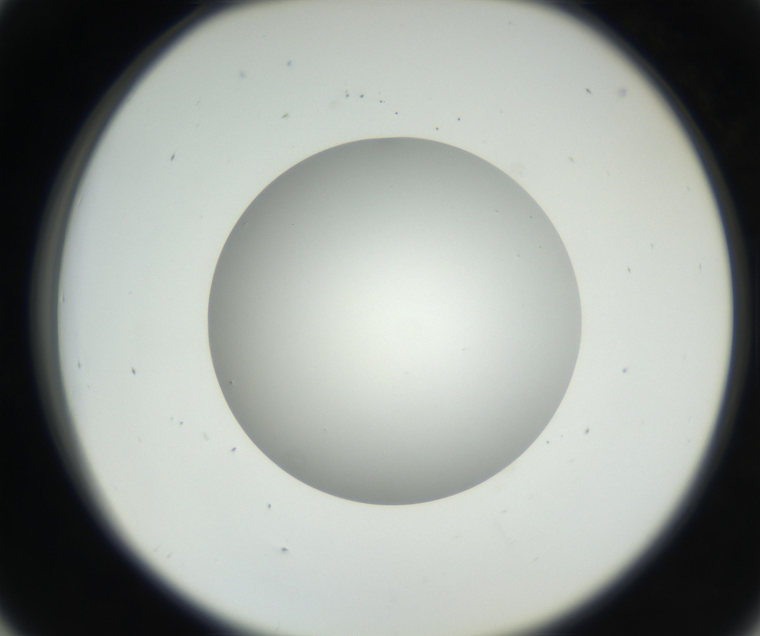 RI01_03_000_0212_Proj1_Clon1_MC_0000MC011174_003_160807_05_04_02_00_99_002_001_RAI.jpg