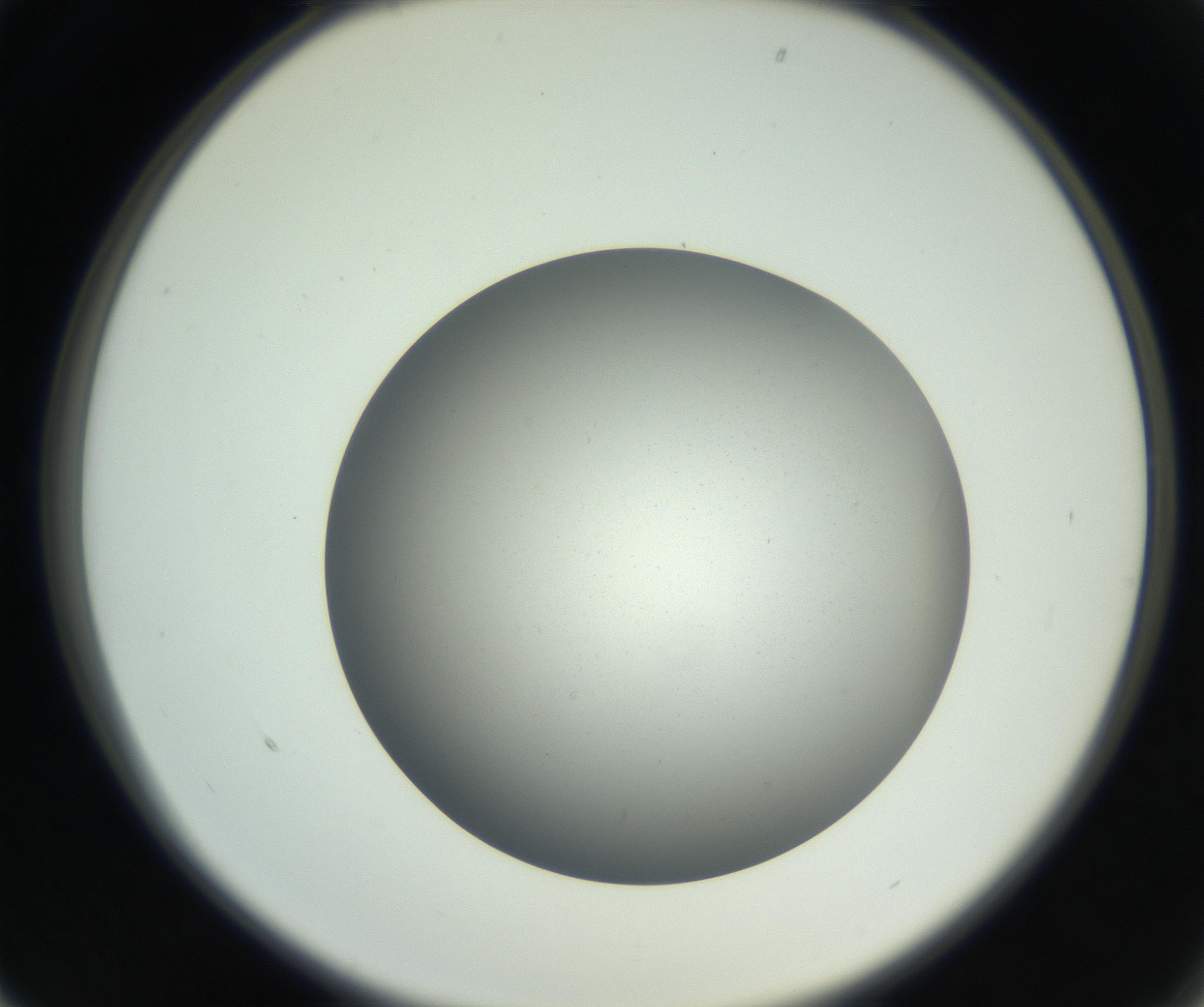RI01_03_000_0212_Proj1_Clon1_MC_0000MC011202_010_160915_01_02_02_00_99_002_001_RAI.jpg