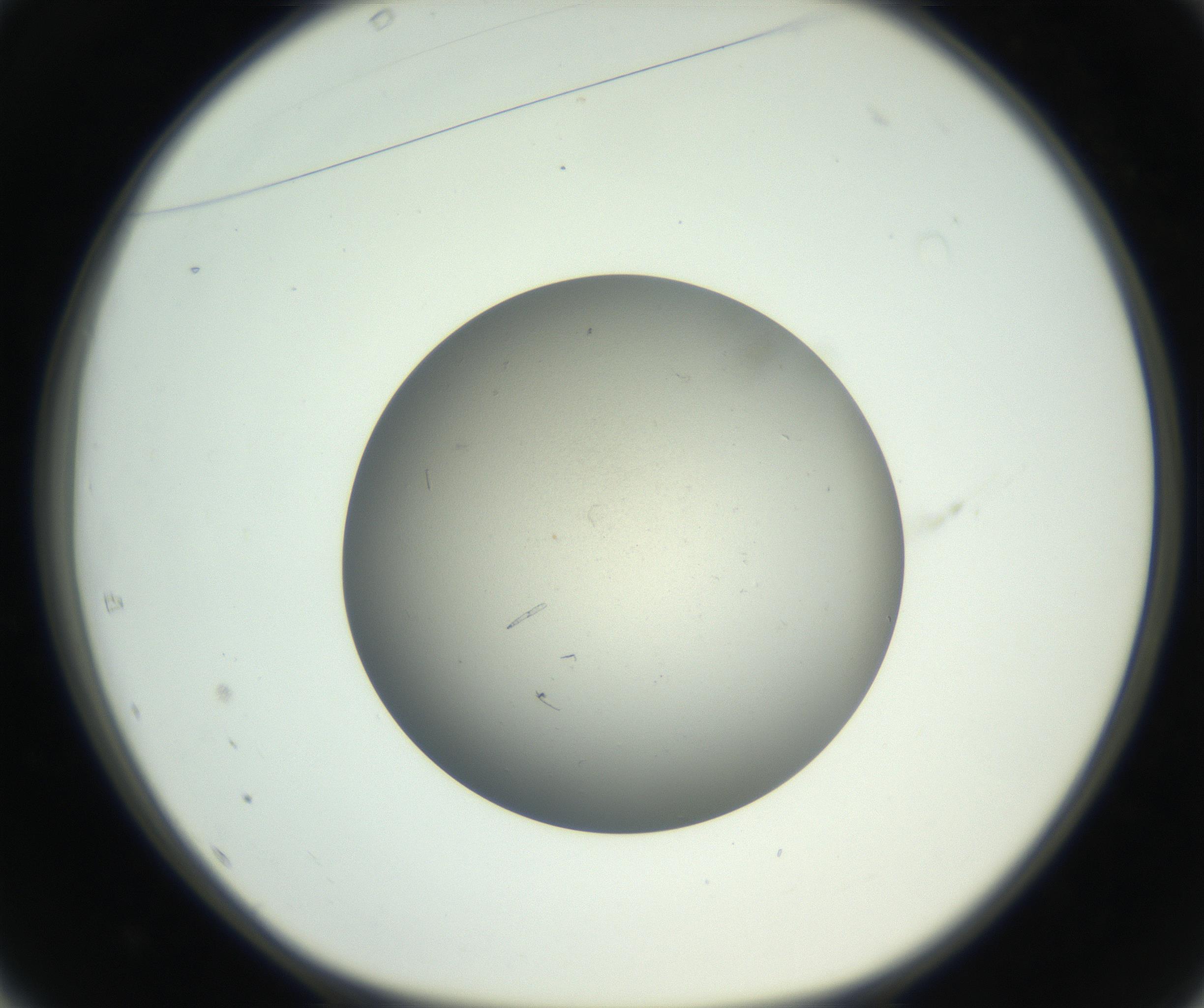 RI01_03_000_0212_Proj1_Clon1_MC_0000MC011202_010_160915_01_04_01_00_99_002_001_RAI.jpg