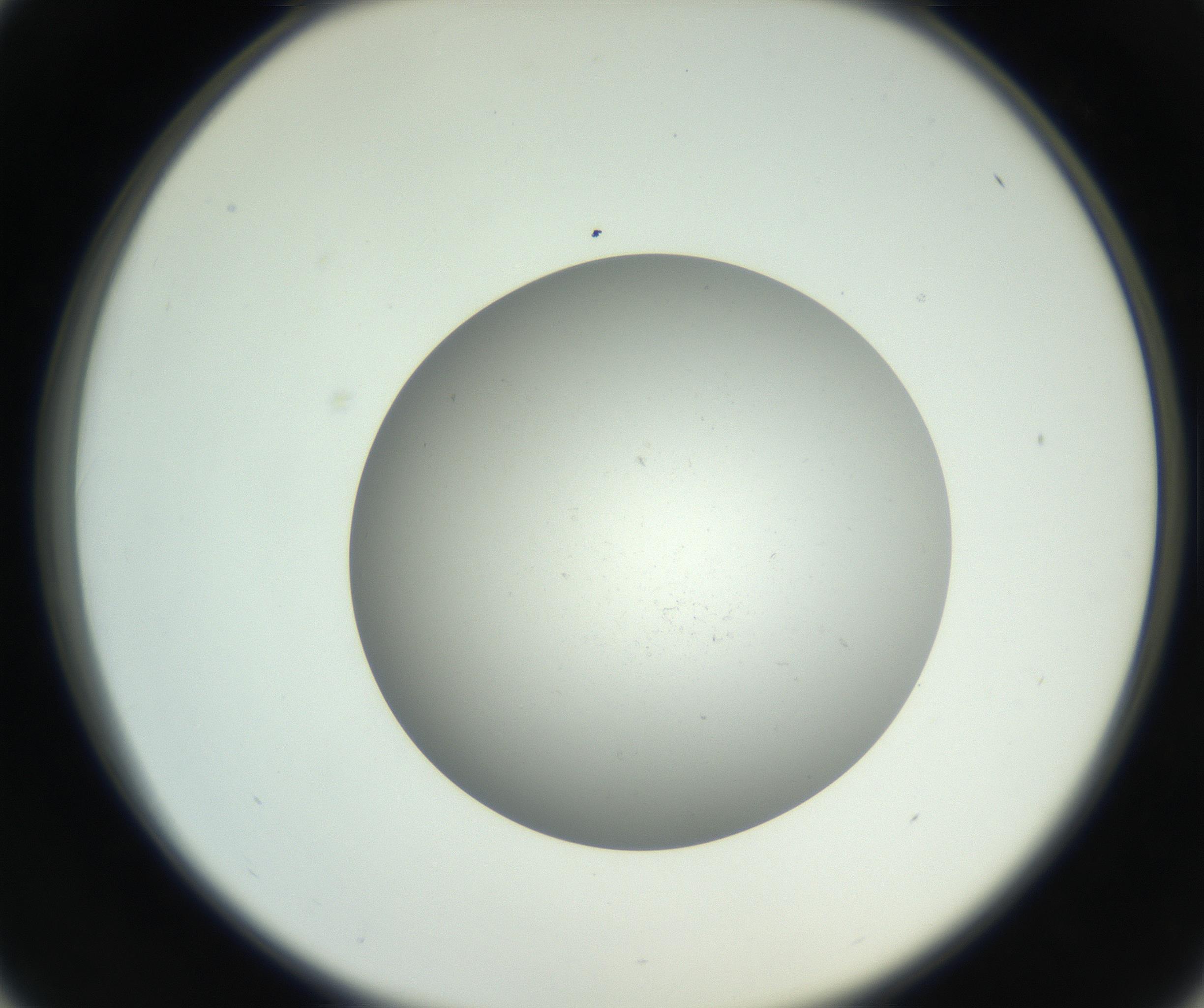 RI01_03_000_0212_Proj1_Clon1_MC_0000MC011202_010_160915_01_04_02_00_99_002_001_RAI.jpg
