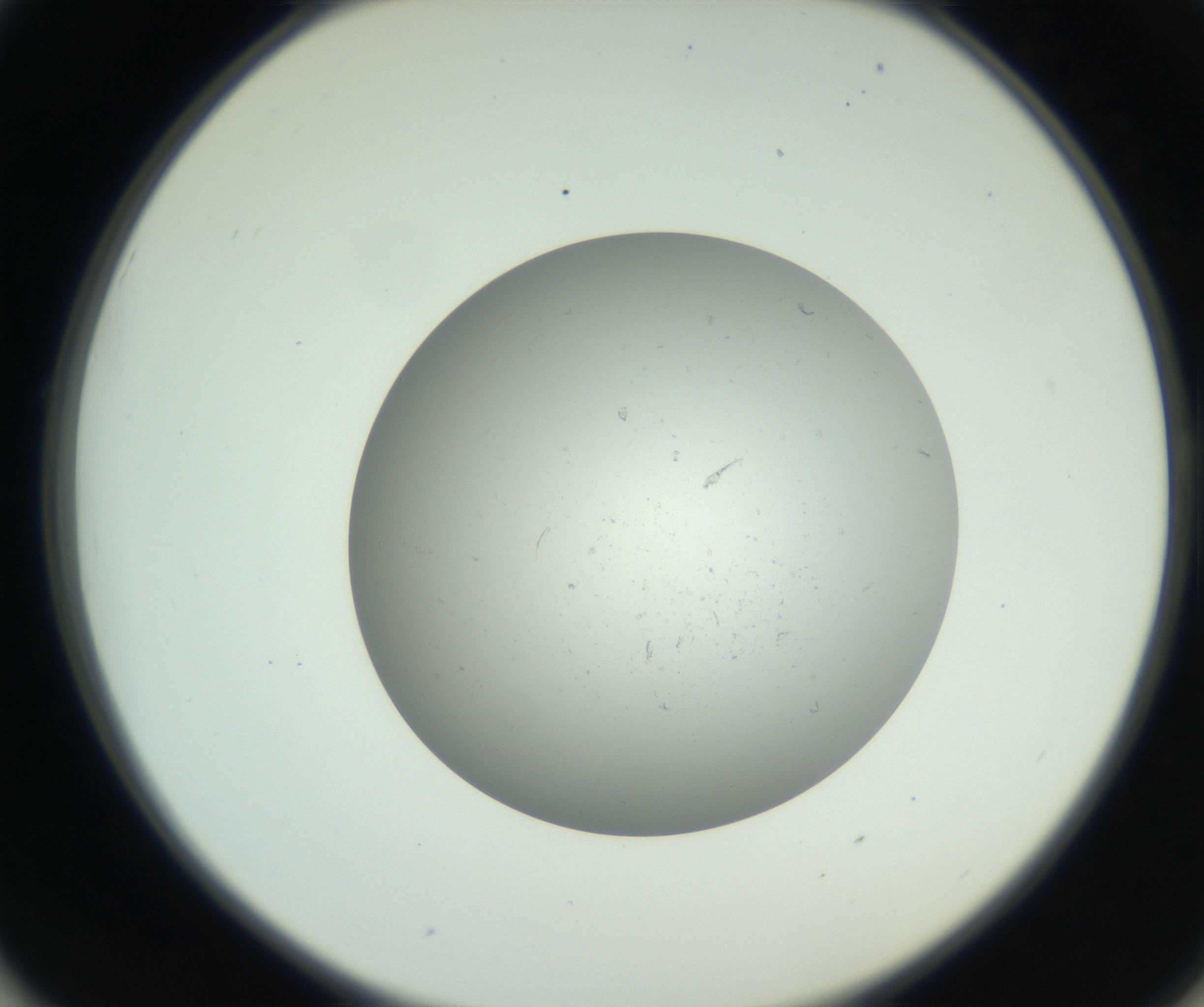 RI01_03_000_0212_Proj1_Clon1_MC_0000MC011202_010_160915_01_05_02_00_99_002_001_RAI.jpg