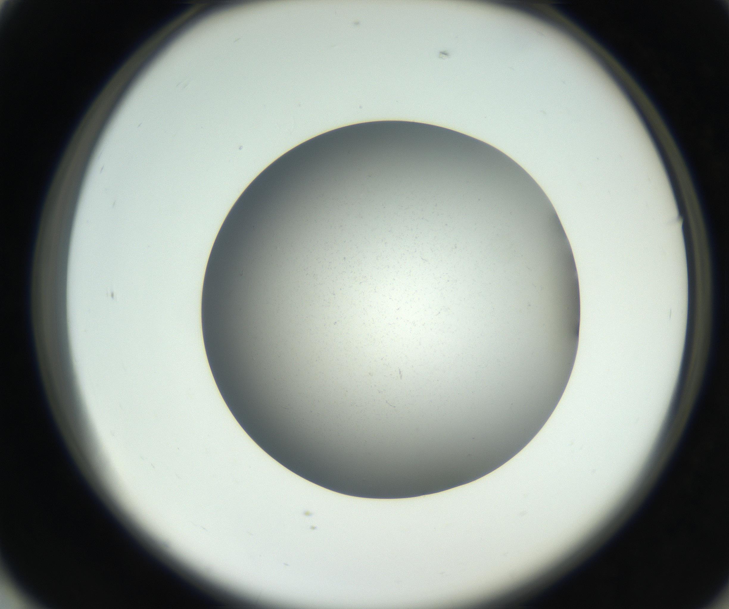 RI01_03_000_0212_Proj1_Clon1_MC_0000MC011202_010_160915_01_07_02_00_99_002_001_RAI.jpg