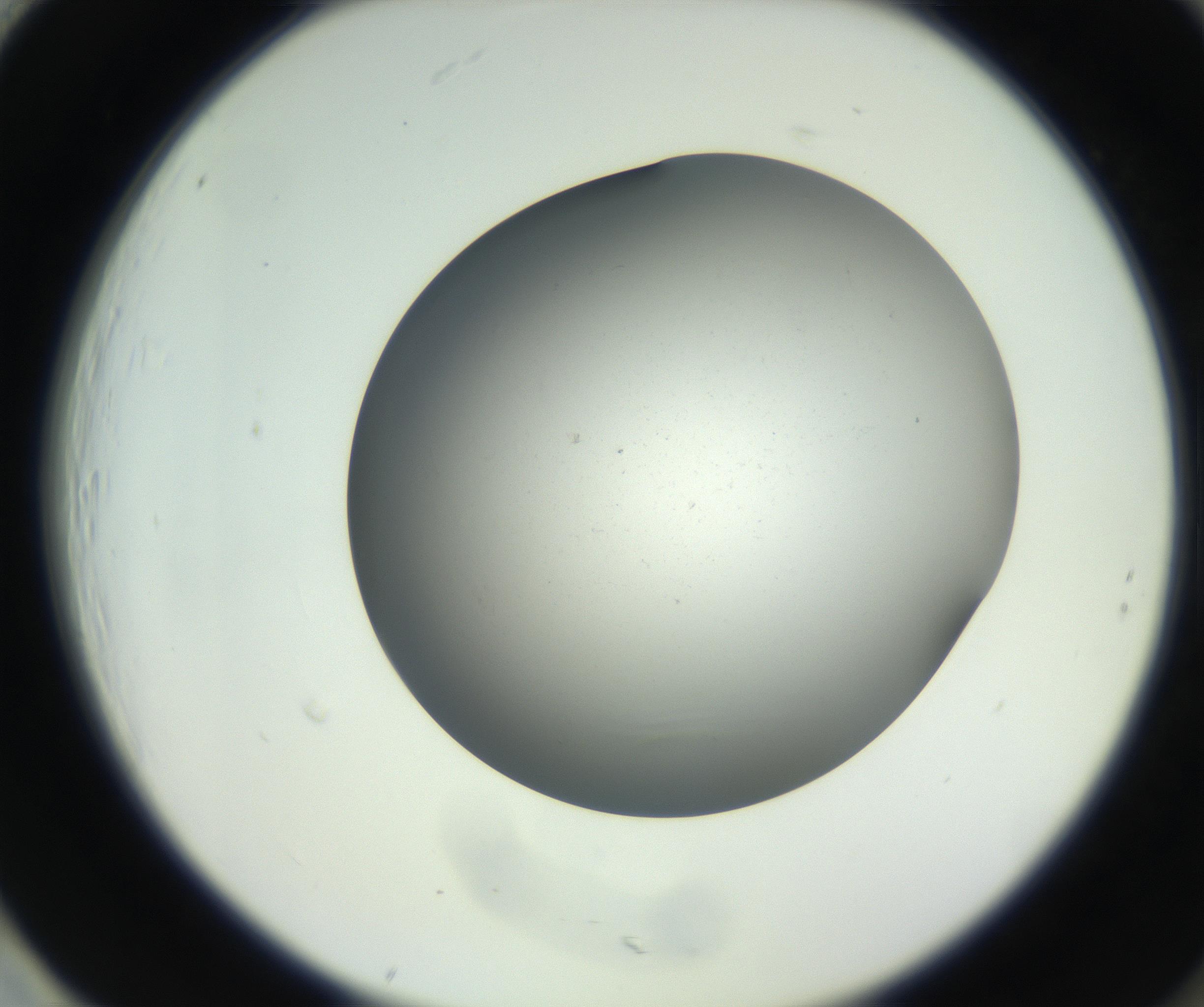 RI01_03_000_0212_Proj1_Clon1_MC_0000MC011202_010_160915_01_08_02_00_99_002_001_RAI.jpg