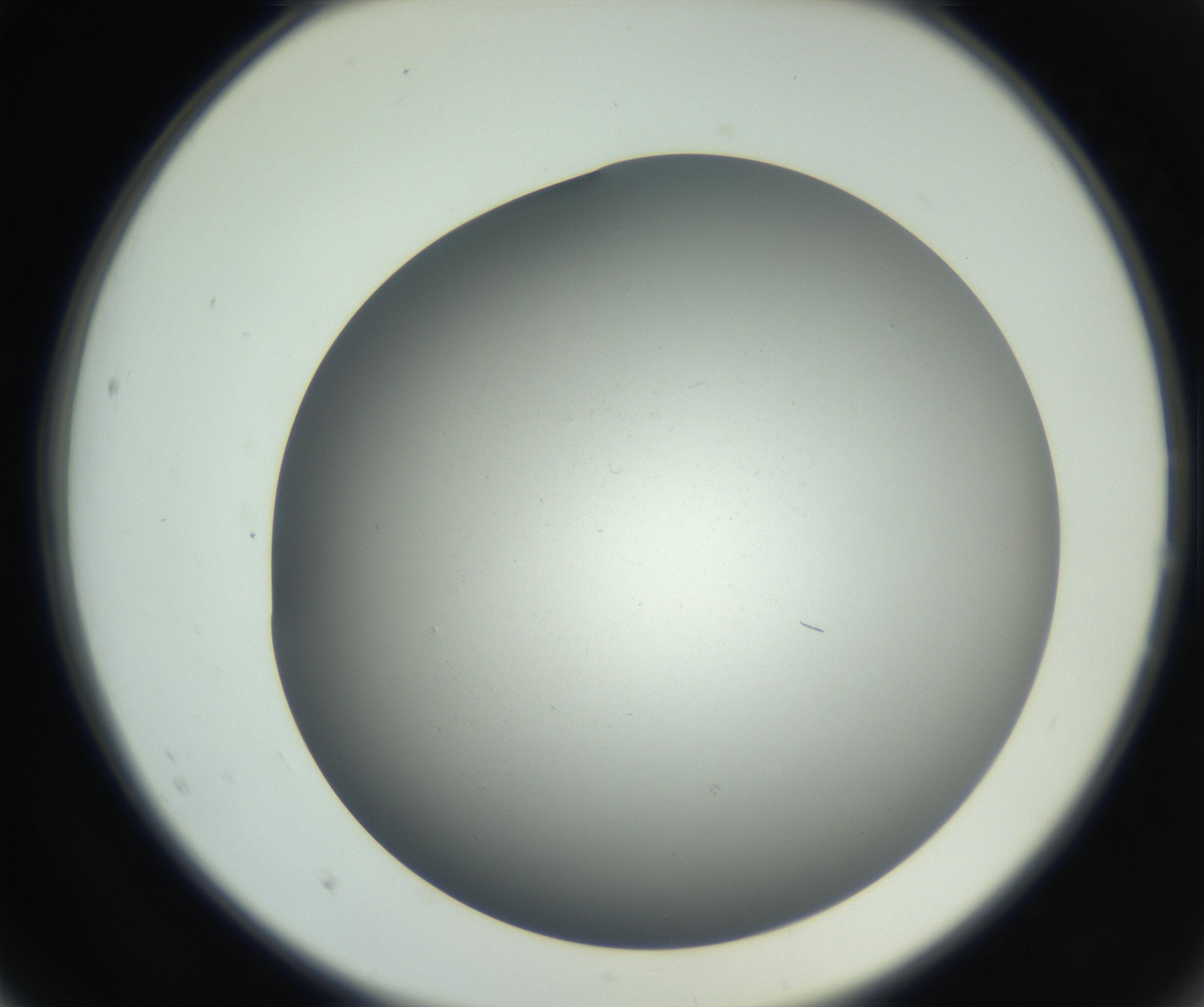 RI01_03_000_0212_Proj1_Clon1_MC_0000MC011202_010_160915_02_02_02_00_99_002_001_RAI.jpg