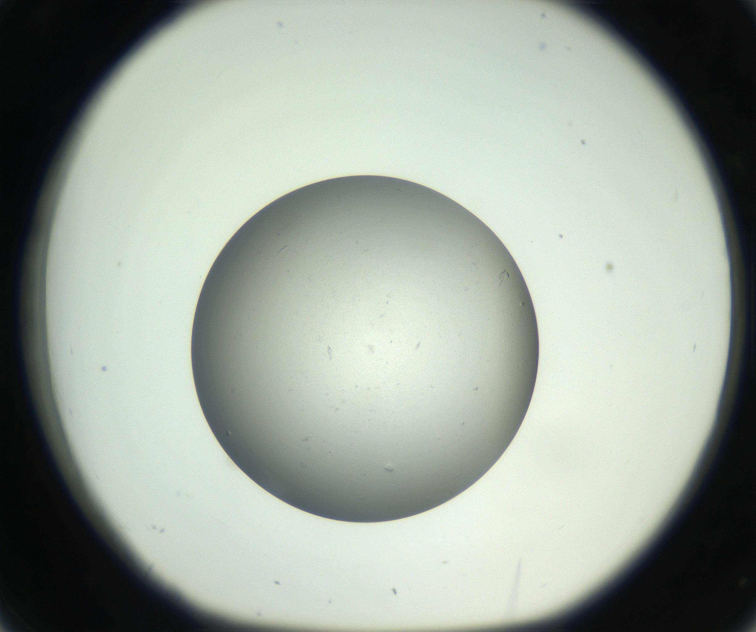 RI01_03_000_0212_Proj1_Clon1_MC_0000MC011202_010_160915_02_03_01_00_99_002_001_RAI.jpg