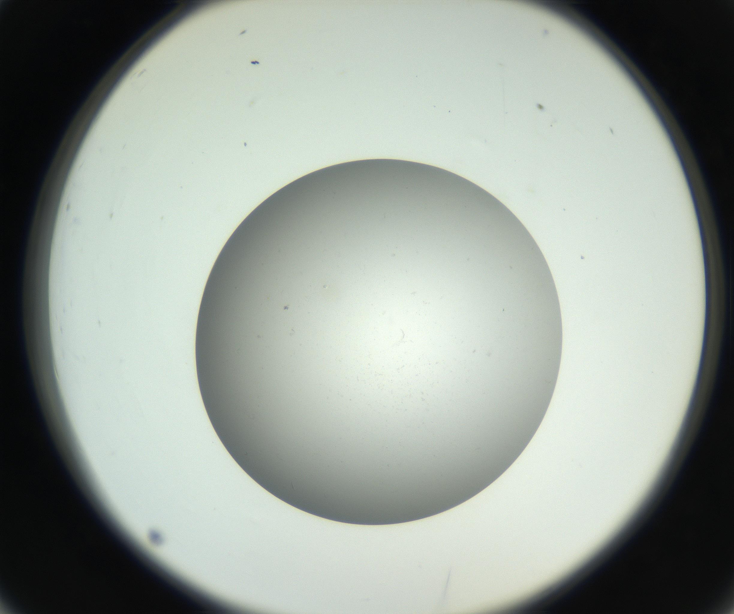 RI01_03_000_0212_Proj1_Clon1_MC_0000MC011202_010_160915_02_03_02_00_99_002_001_RAI.jpg