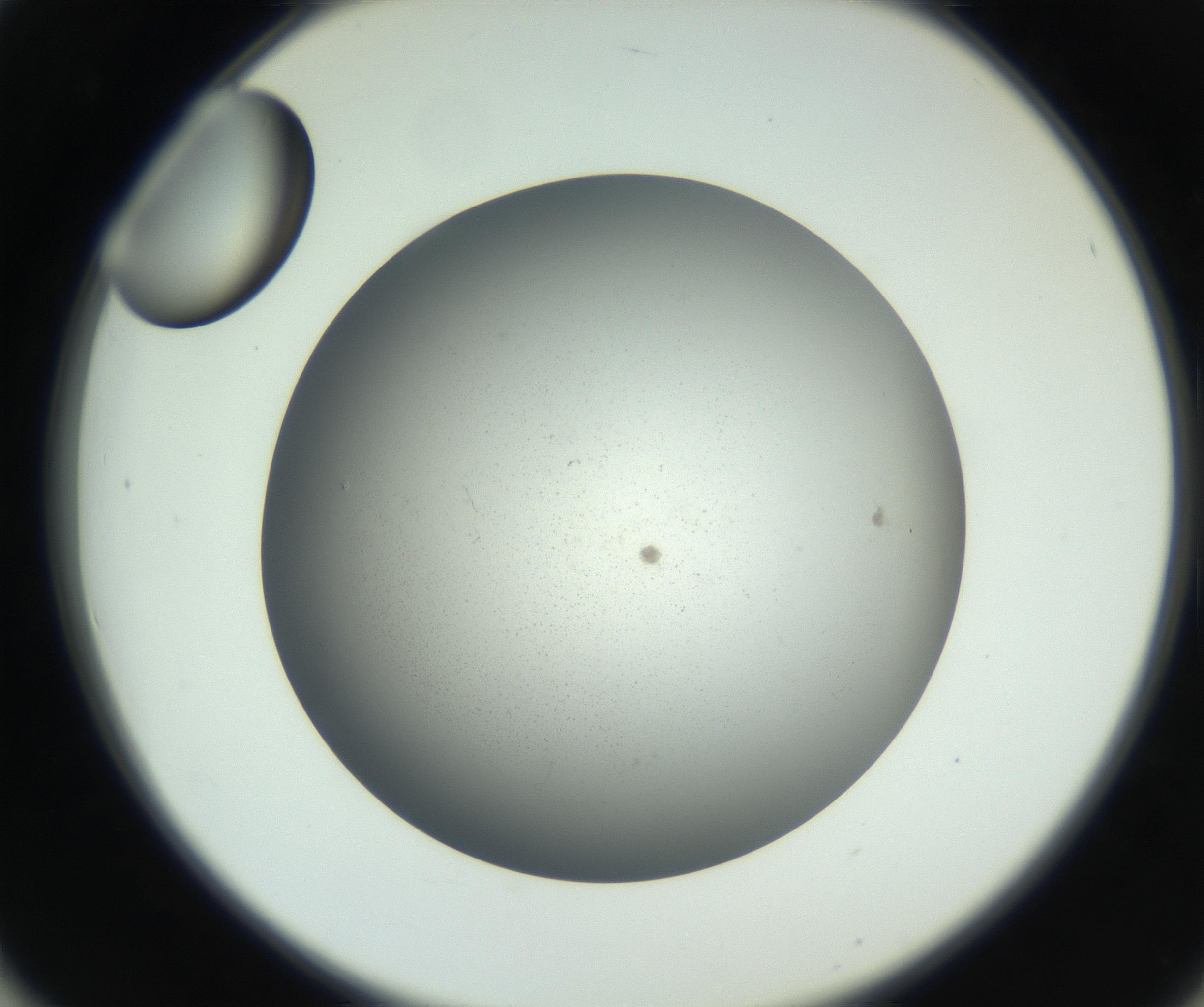 RI01_03_000_0212_Proj1_Clon1_MC_0000MC011202_010_160915_02_05_02_00_99_002_001_RAI.jpg