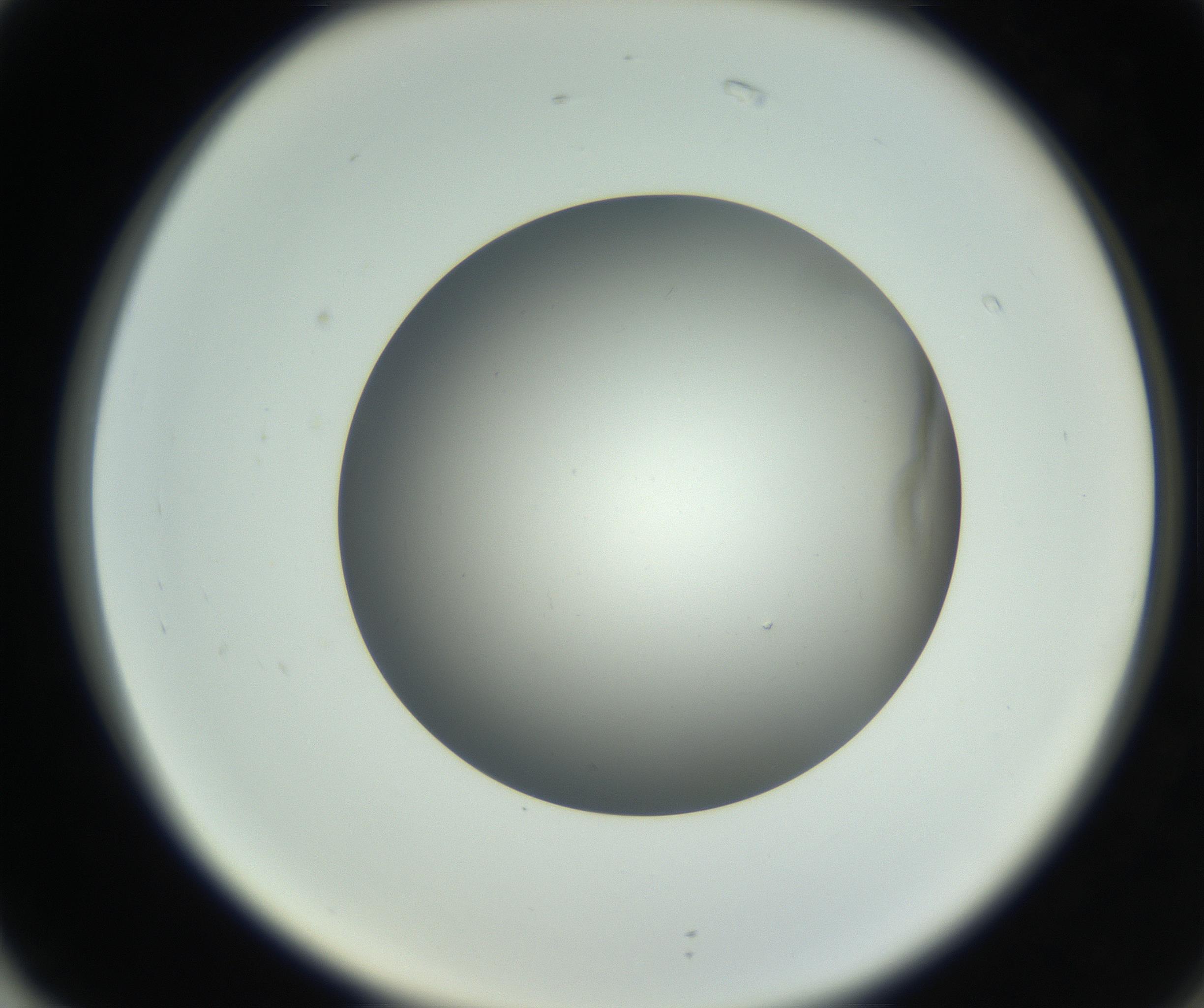 RI01_03_000_0212_Proj1_Clon1_MC_0000MC011202_010_160915_02_07_02_00_99_002_001_RAI.jpg