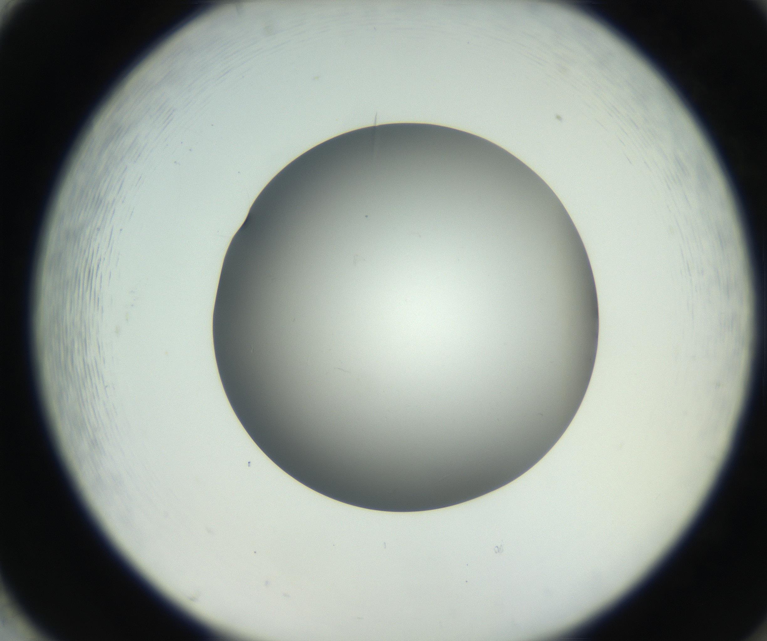 RI01_03_000_0212_Proj1_Clon1_MC_0000MC011202_010_160915_02_08_02_00_99_002_001_RAI.jpg