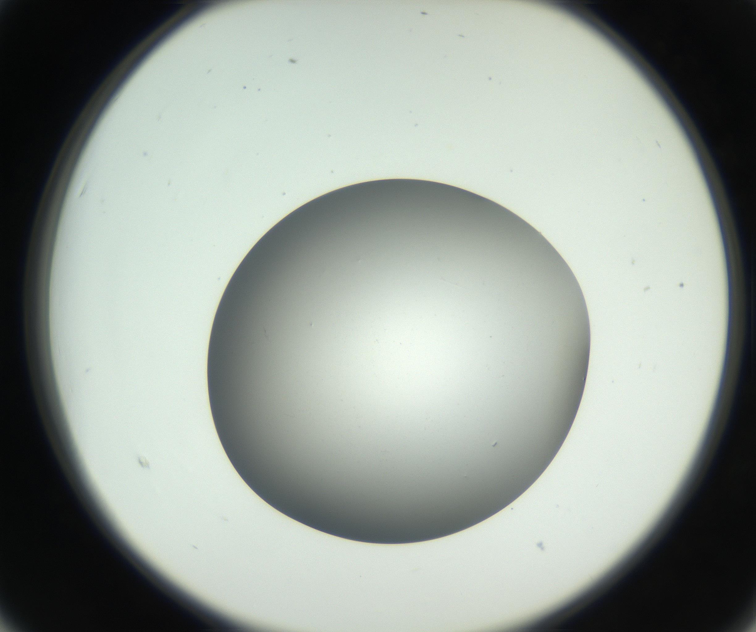 RI01_03_000_0212_Proj1_Clon1_MC_0000MC011202_010_160915_03_02_02_00_99_002_001_RAI.jpg