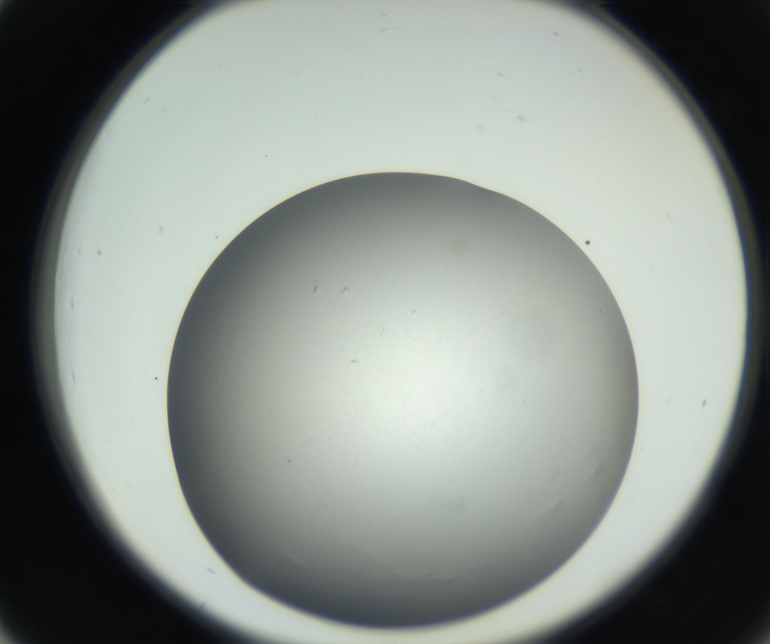 RI01_03_000_0212_Proj1_Clon1_MC_0000MC011202_010_160915_03_04_02_00_99_002_001_RAI.jpg