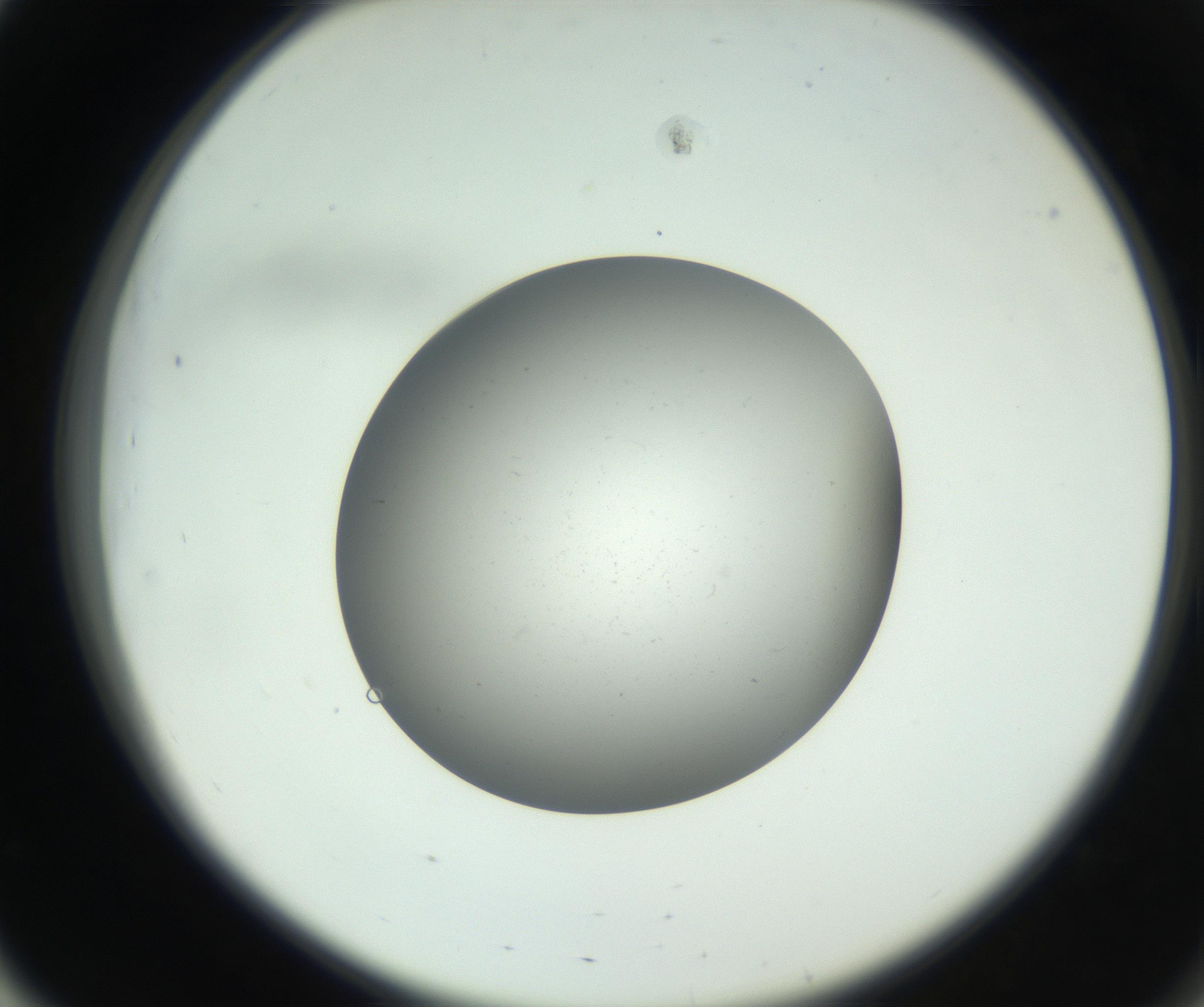 RI01_03_000_0212_Proj1_Clon1_MC_0000MC011202_010_160915_03_05_02_00_99_002_001_RAI.jpg