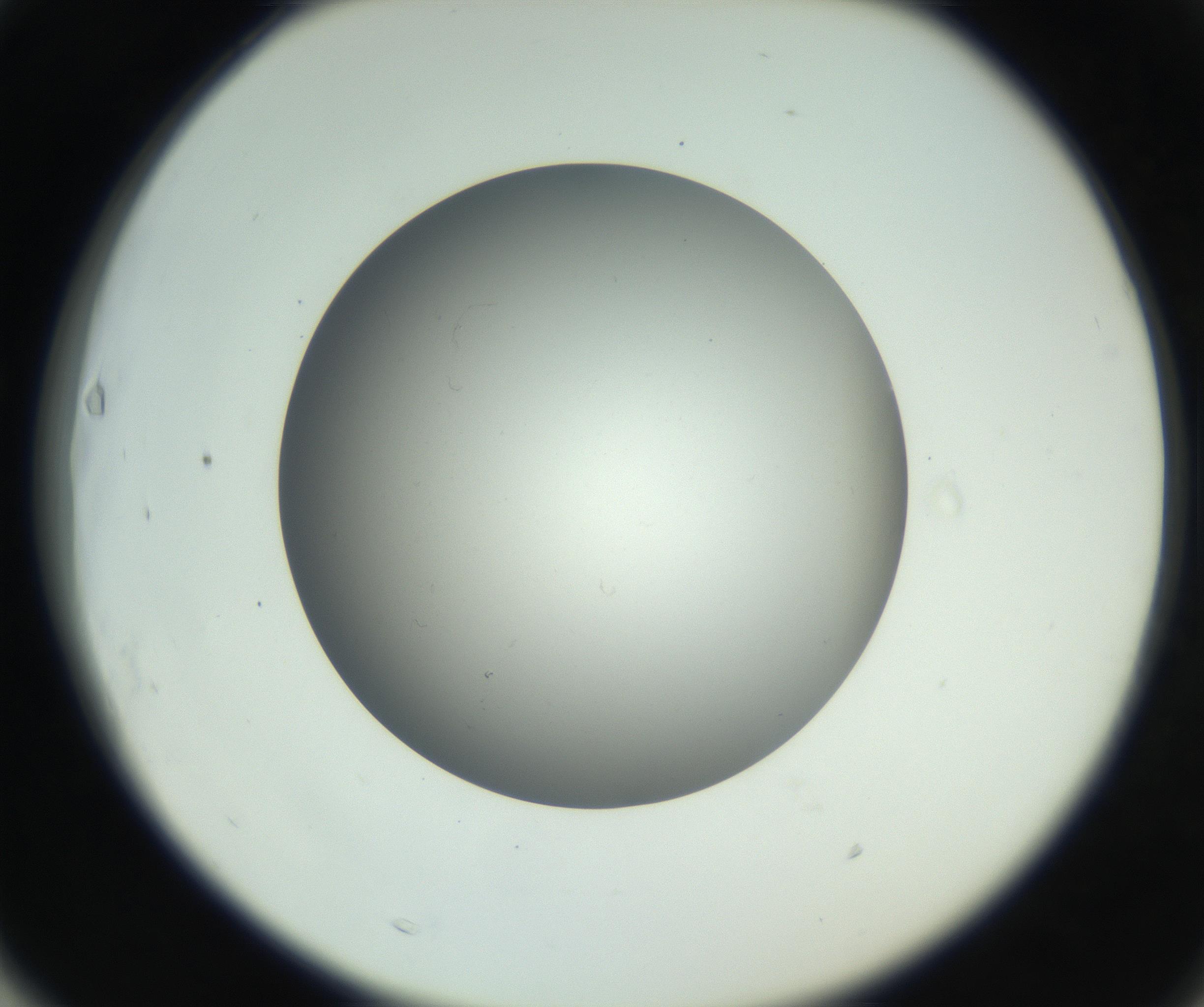RI01_03_000_0212_Proj1_Clon1_MC_0000MC011202_010_160915_03_06_02_00_99_002_001_RAI.jpg